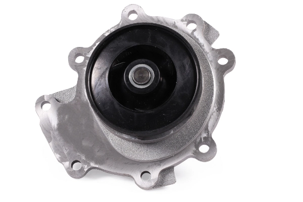 Water Pump, engine cooling P258