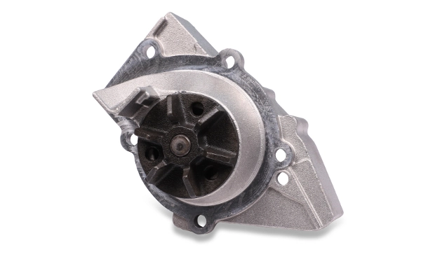 Water Pump, engine cooling P871