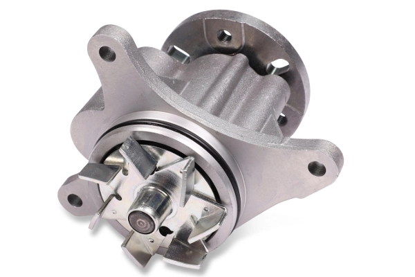 Water Pump, engine cooling P809