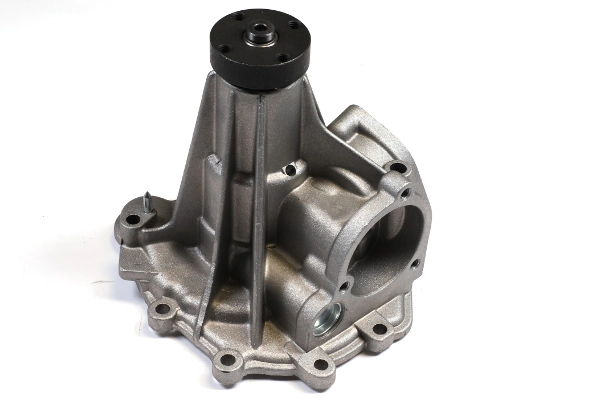 Water Pump, engine cooling P181