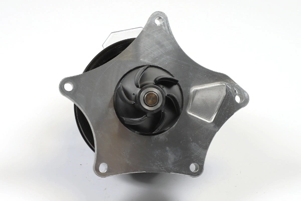 Water Pump, engine cooling P383