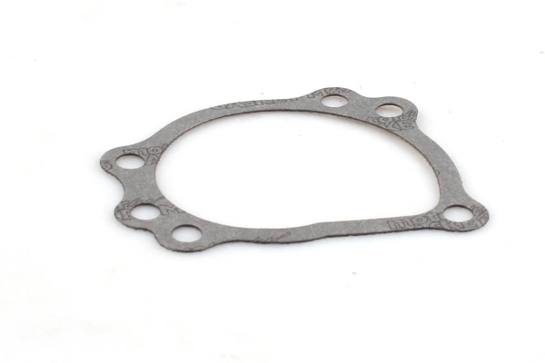 Water Pump, engine cooling P1022