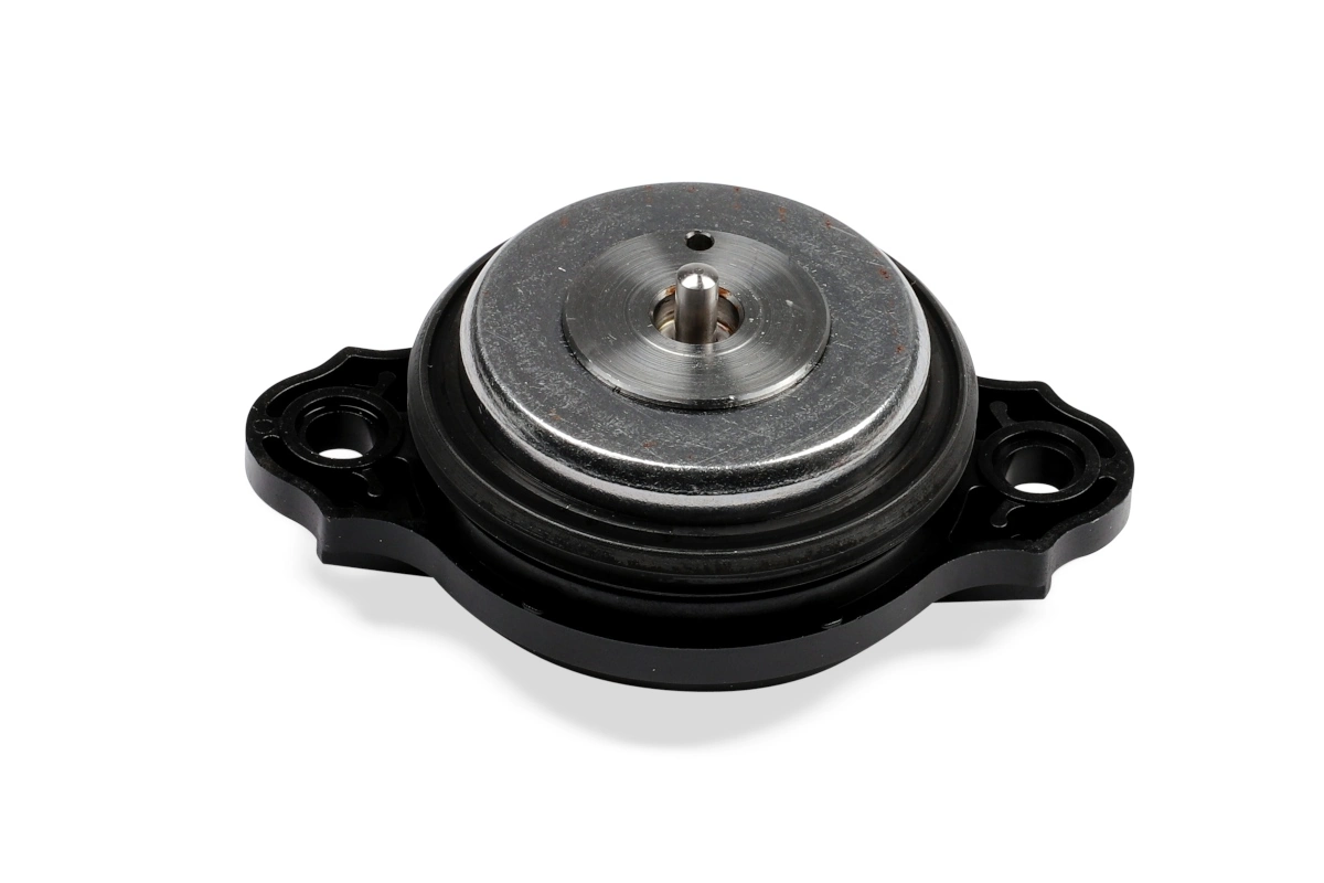 Central Magnet, camshaft adjustment IPD inside 21-5065