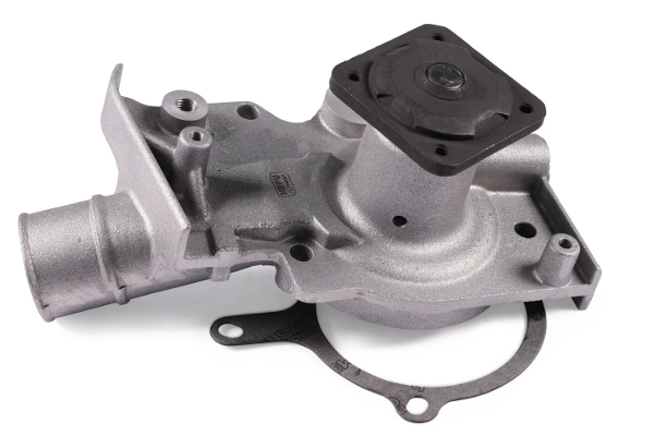 Water Pump, engine cooling P216