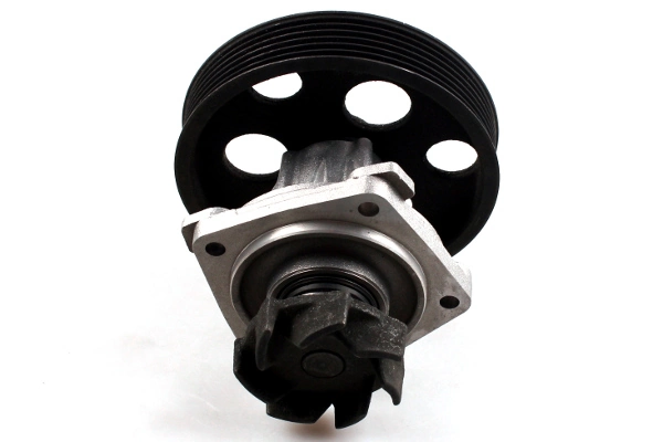 HEPU P1205 Water Pump, engine cooling