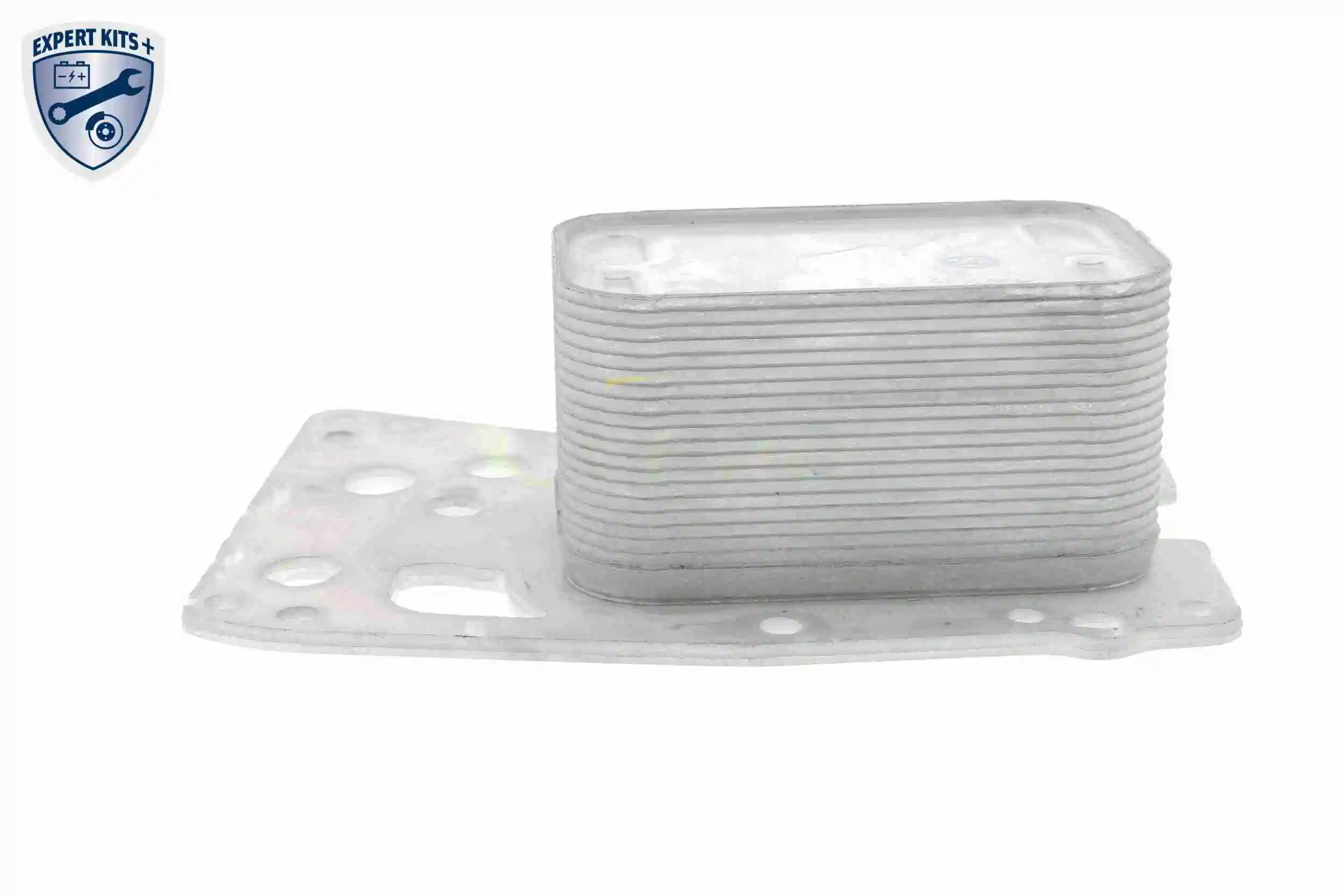 Oil Cooler, engine oil EXPERT KITS + V20-60-0076