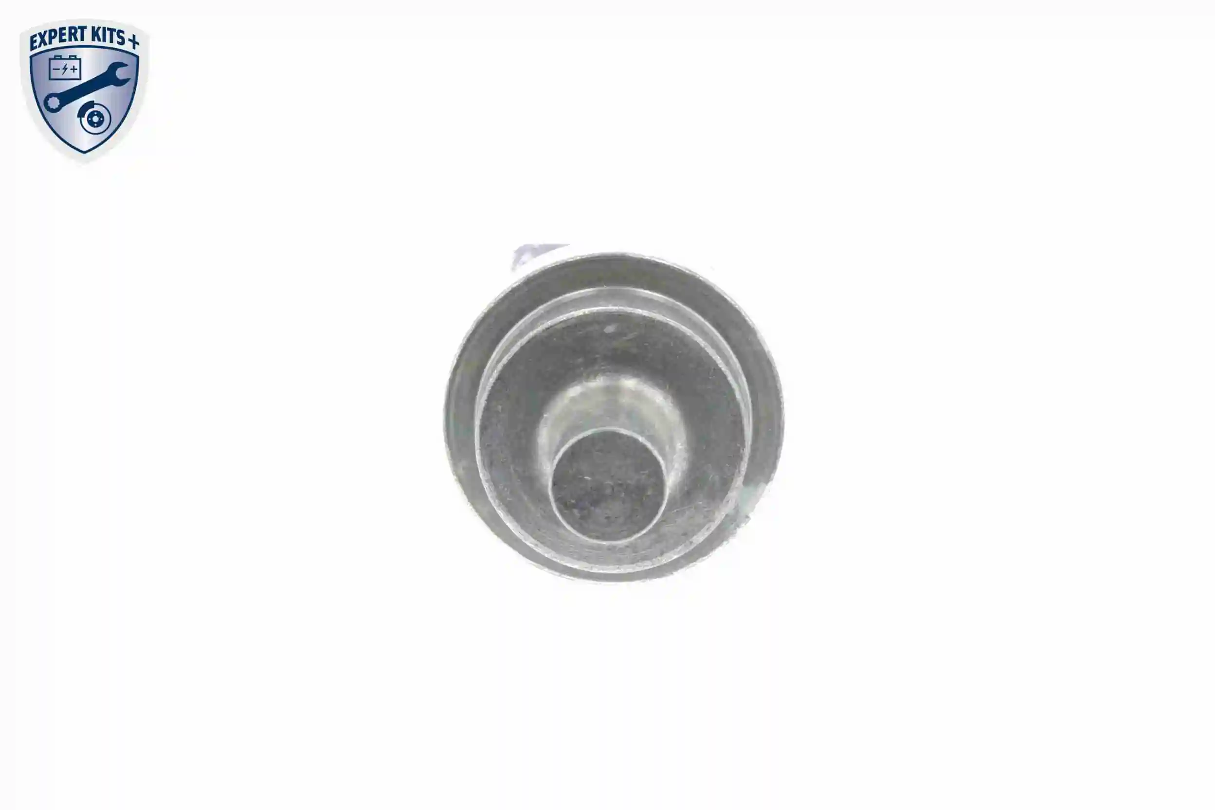 Sensor, fuel temperature EXPERT KITS + V10-72-1251