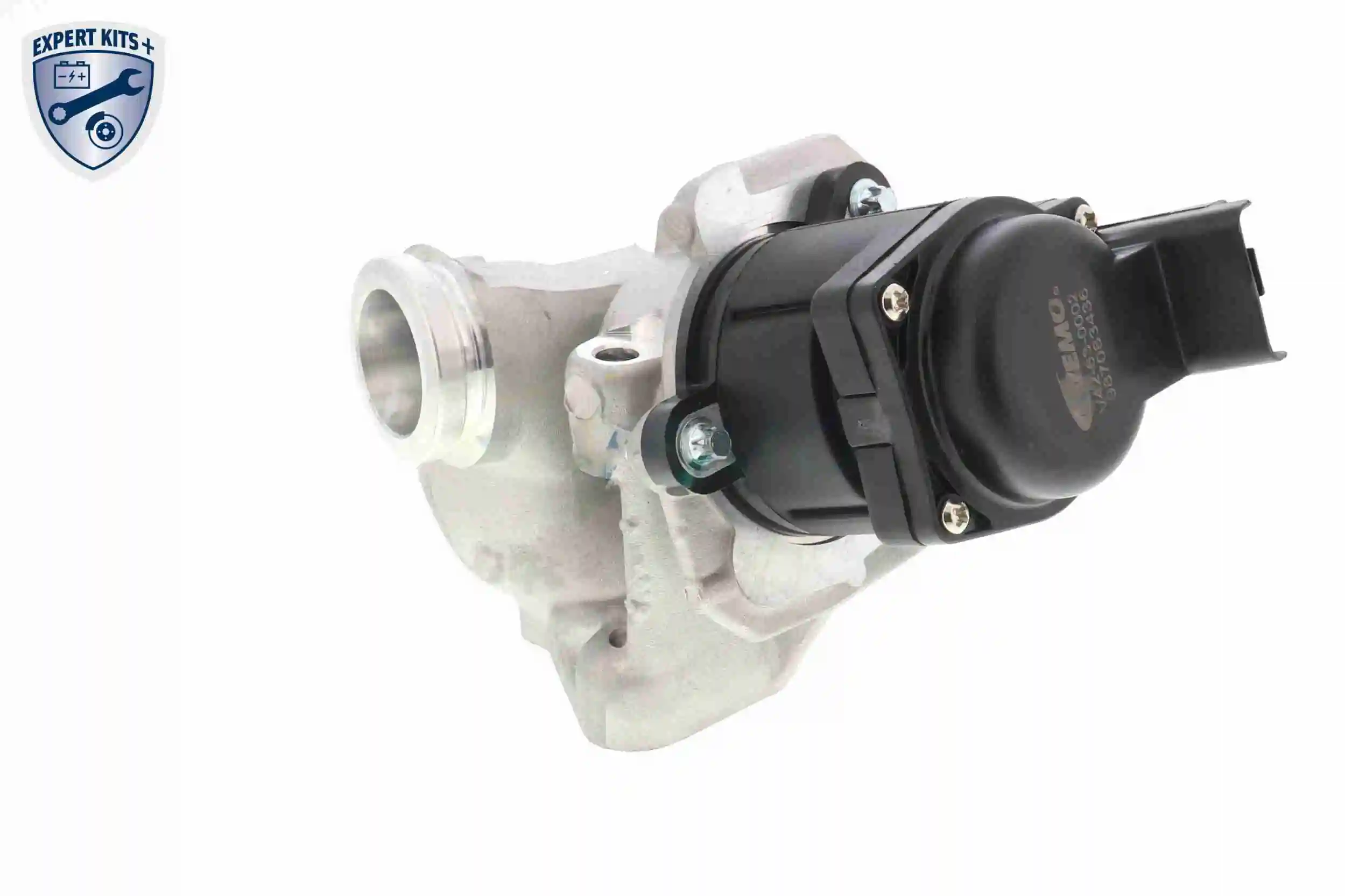 EGR Valve EXPERT KITS + V42-63-0002