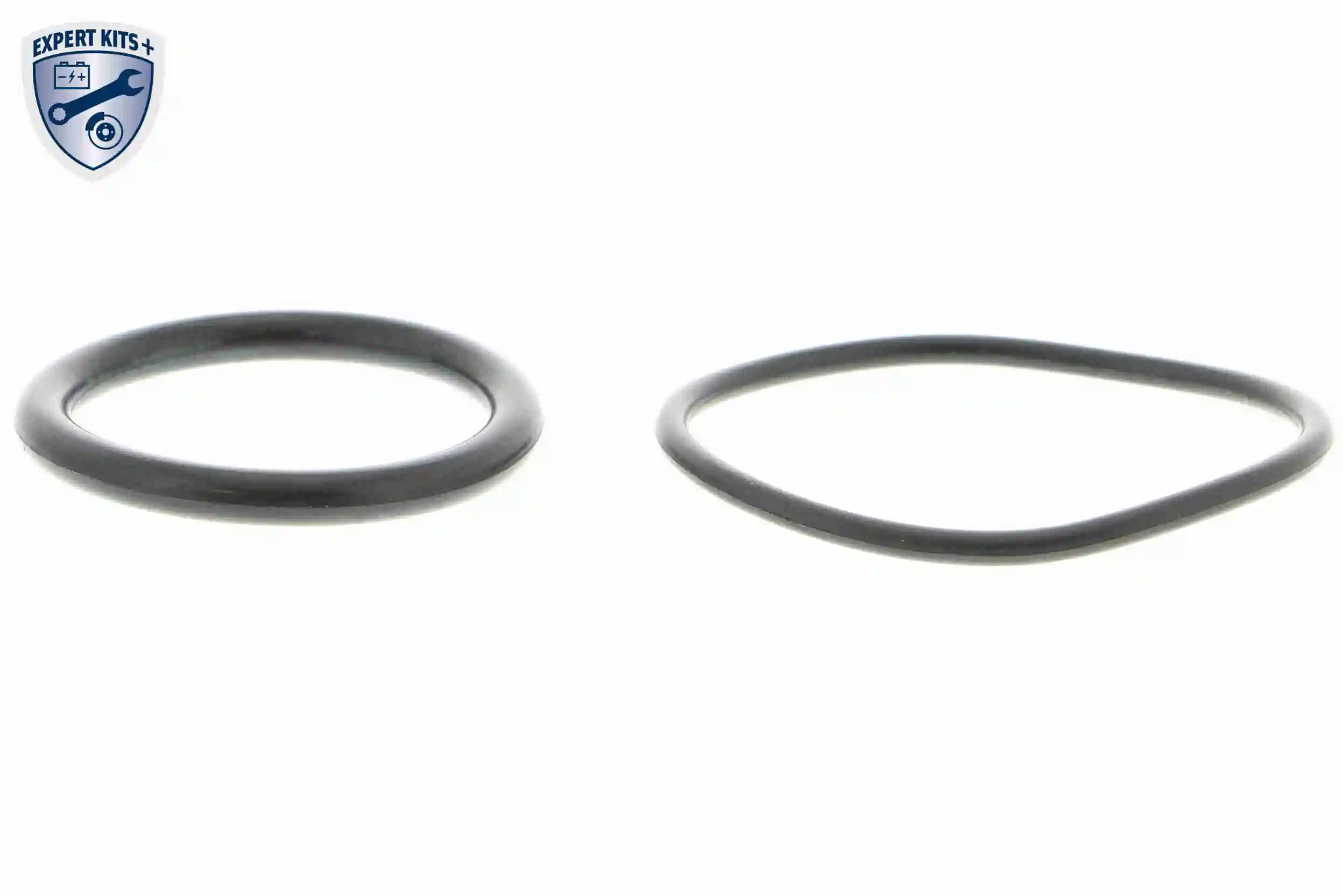 Fuel Pump EXPERT KITS + V10-09-0806