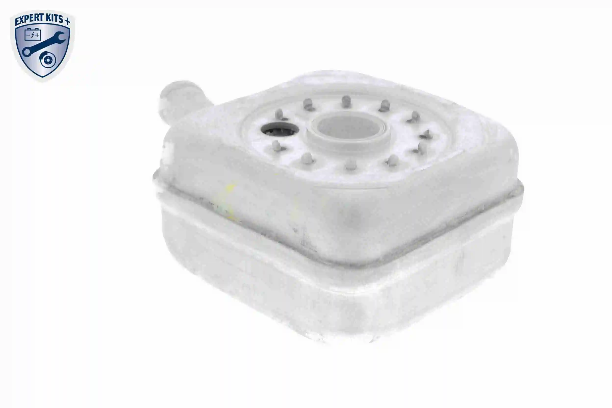 Oil Cooler, engine oil EXPERT KITS + V15-60-6011