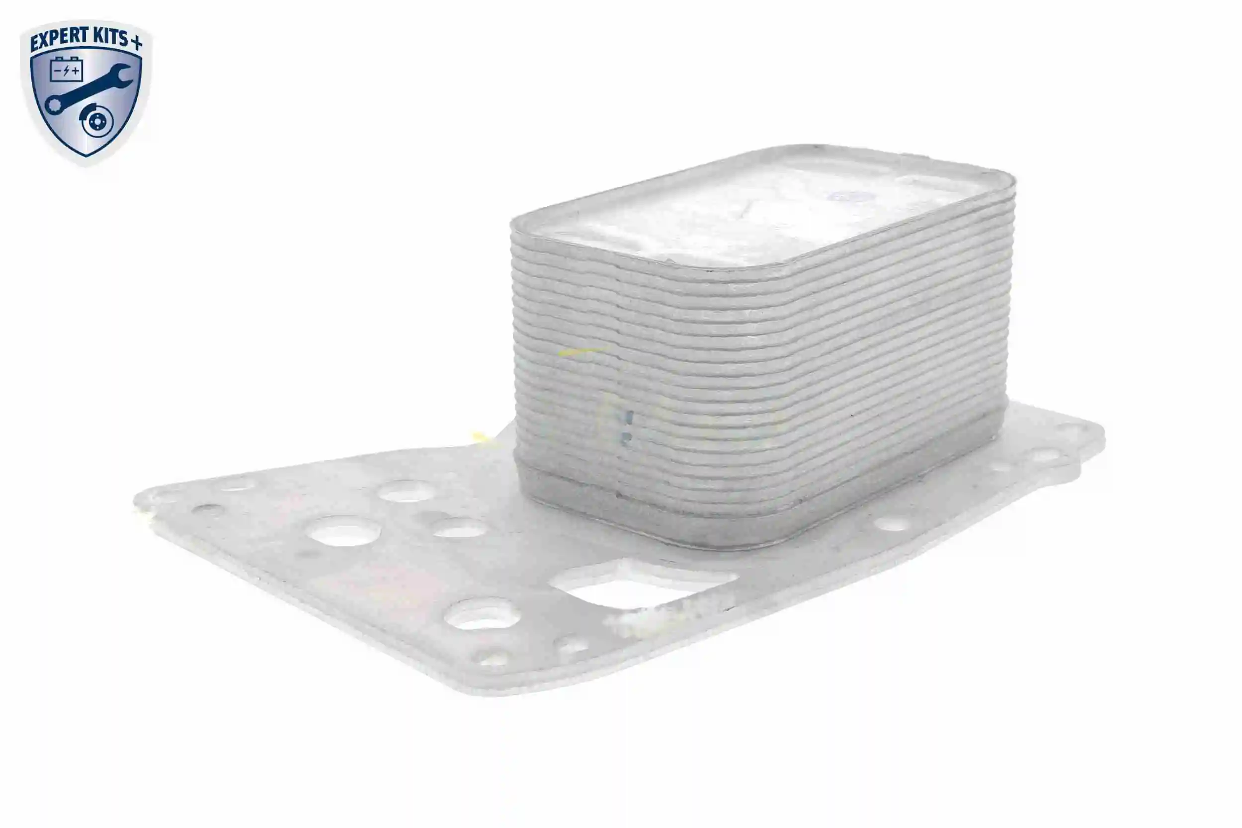 Oil Cooler, engine oil EXPERT KITS + V20-60-0076