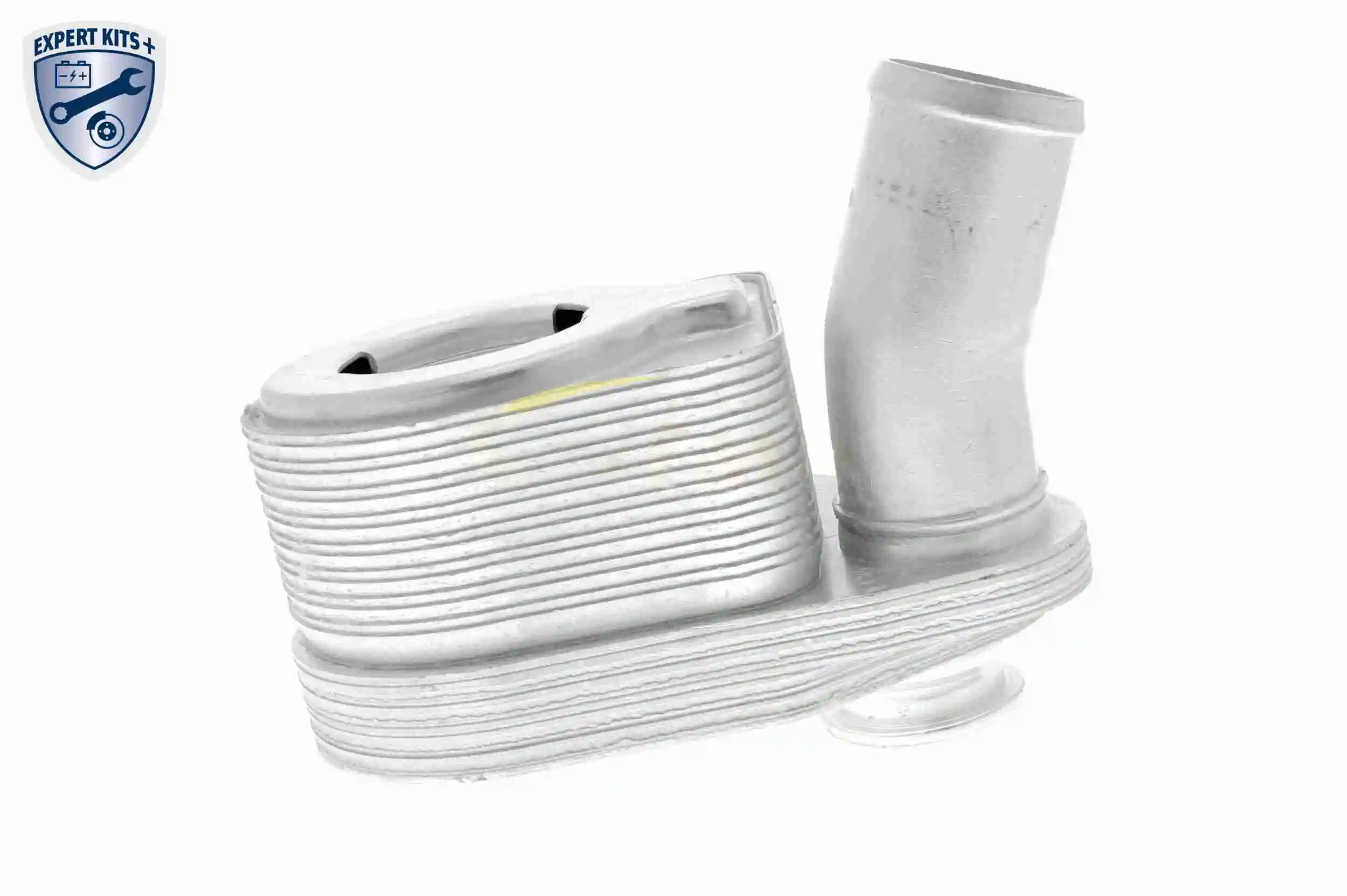Oil Cooler, engine oil EXPERT KITS + V27-60-0001