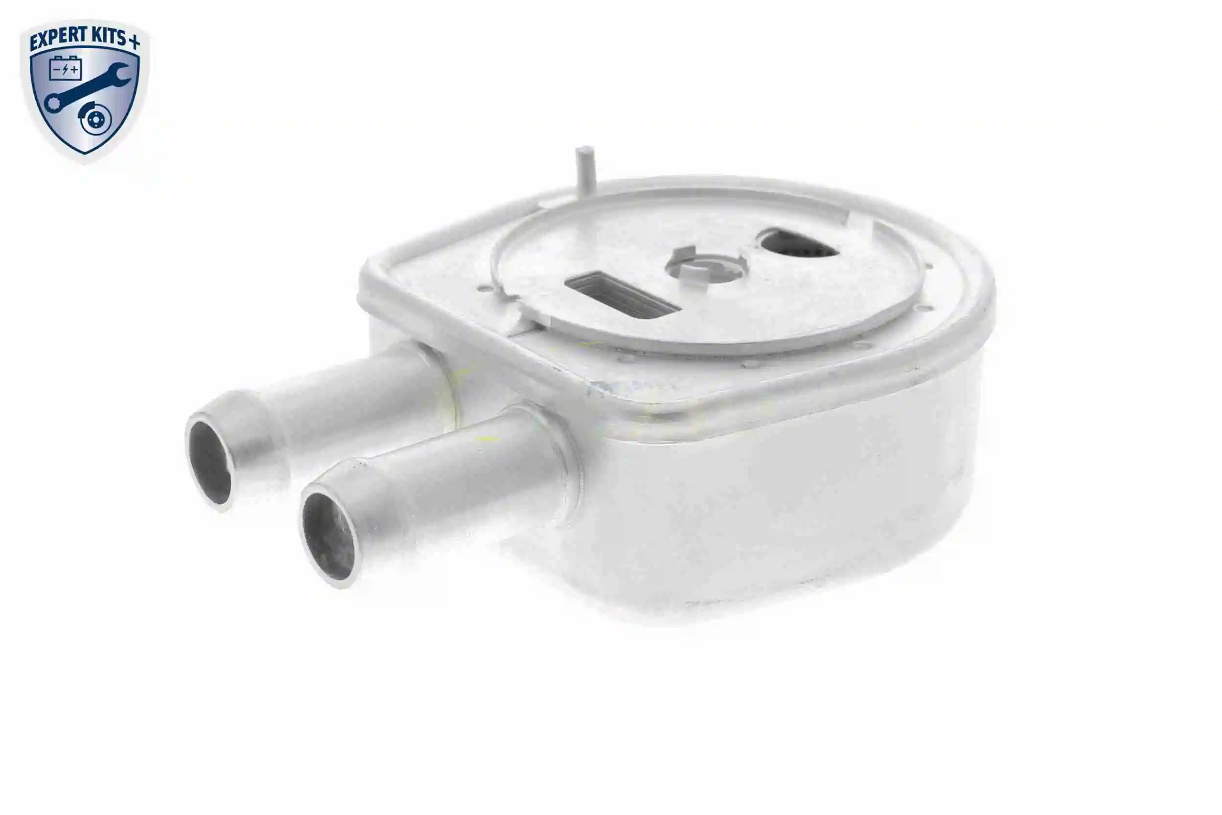 Oil Cooler, engine oil EXPERT KITS + V25-60-0047