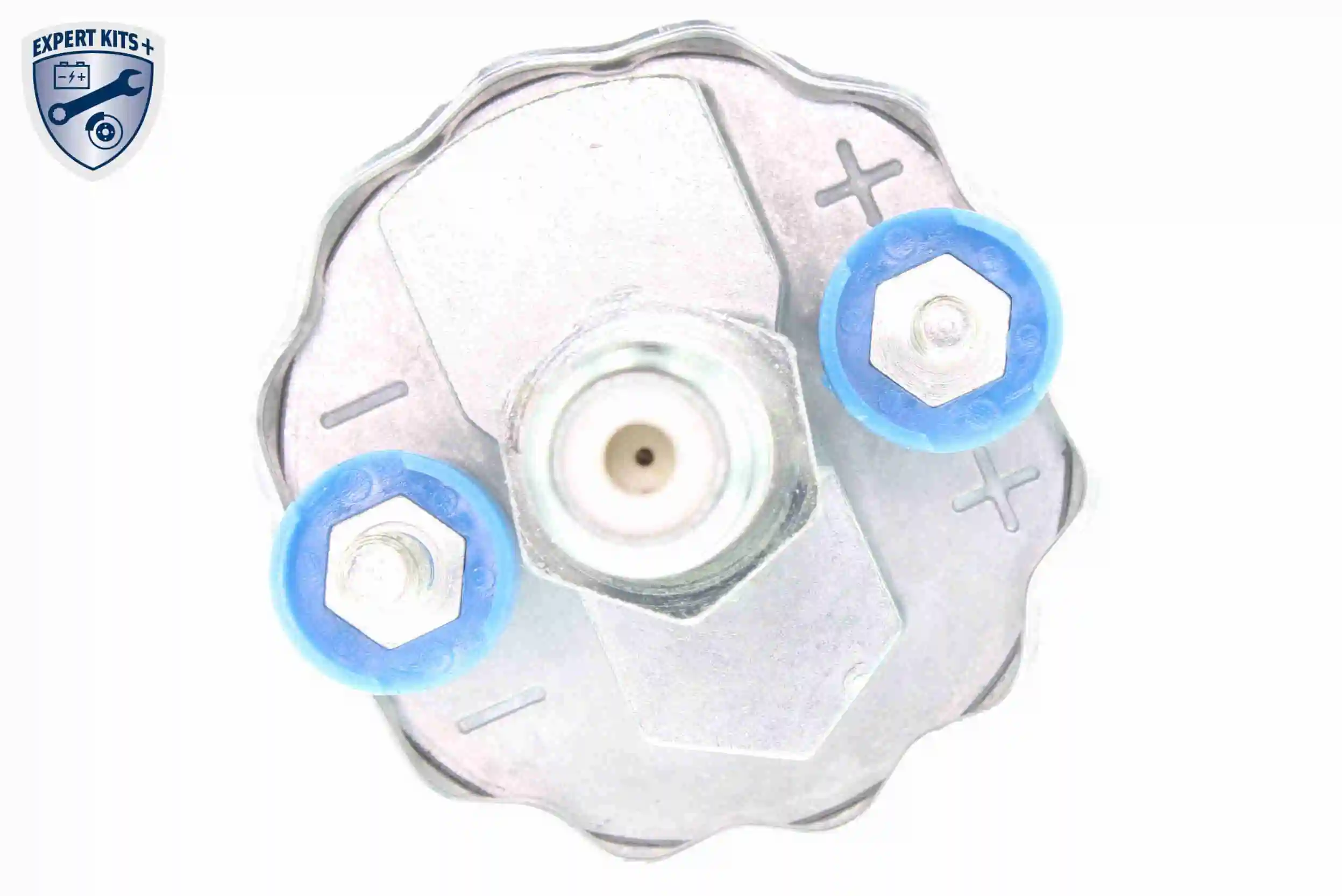 Fuel Pump EXPERT KITS + V30-09-0002