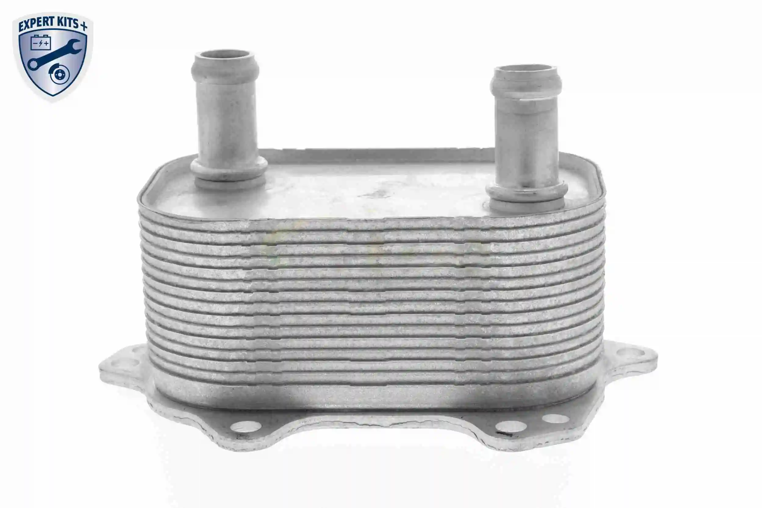 Oil Cooler, engine oil EXPERT KITS + V15-60-6091