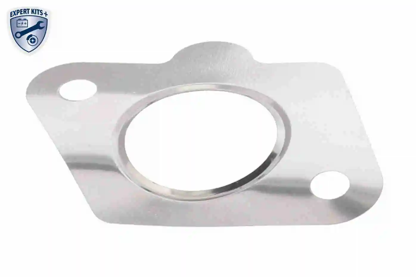 EGR Valve EXPERT KITS + V42-63-0002