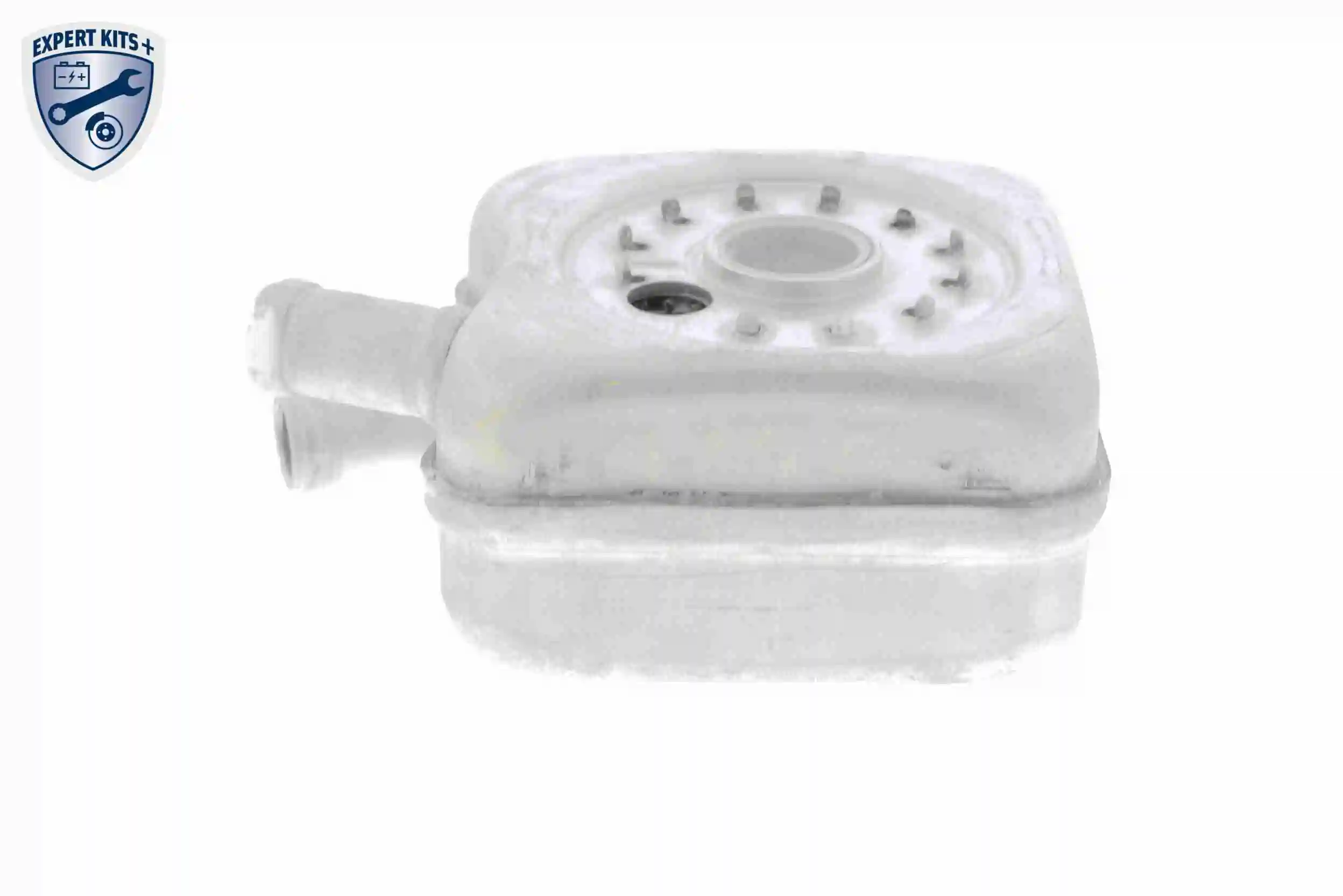 Oil Cooler, engine oil EXPERT KITS + V15-60-6011