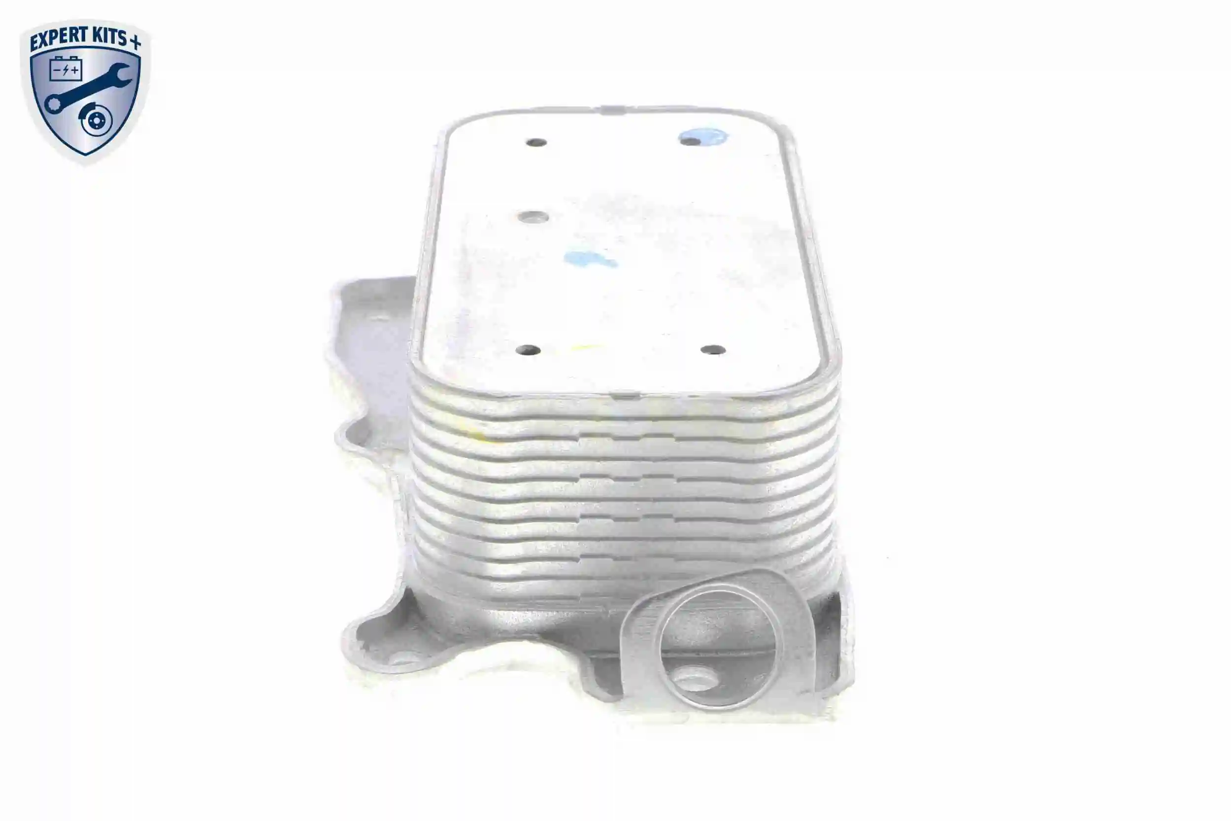 Oil Cooler, engine oil EXPERT KITS + V30-60-1321
