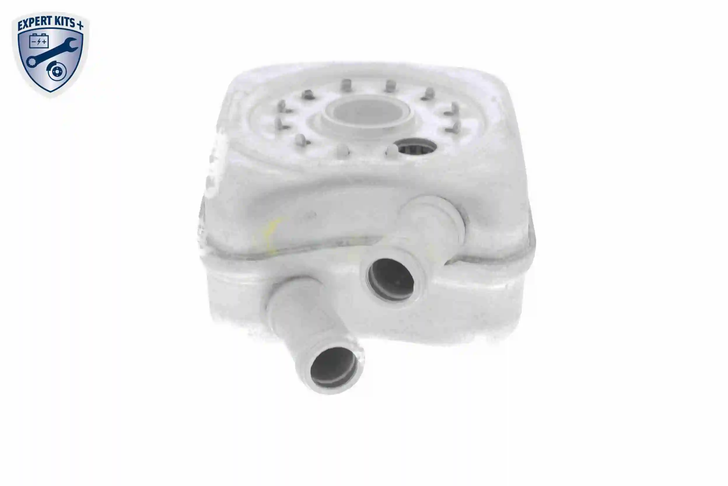 Oil Cooler, engine oil EXPERT KITS + V15-60-6011