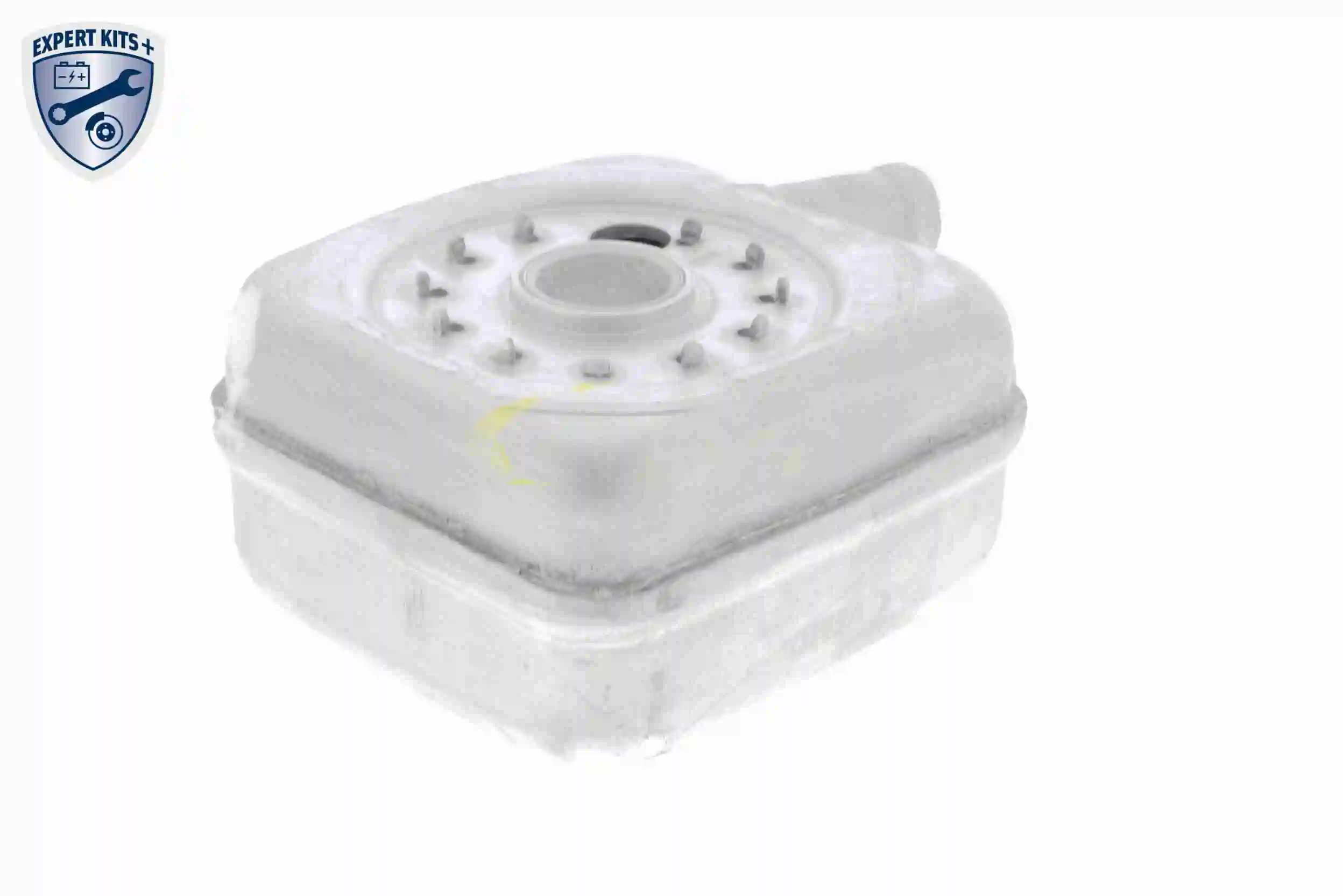 Oil Cooler, engine oil EXPERT KITS + V15-60-6011