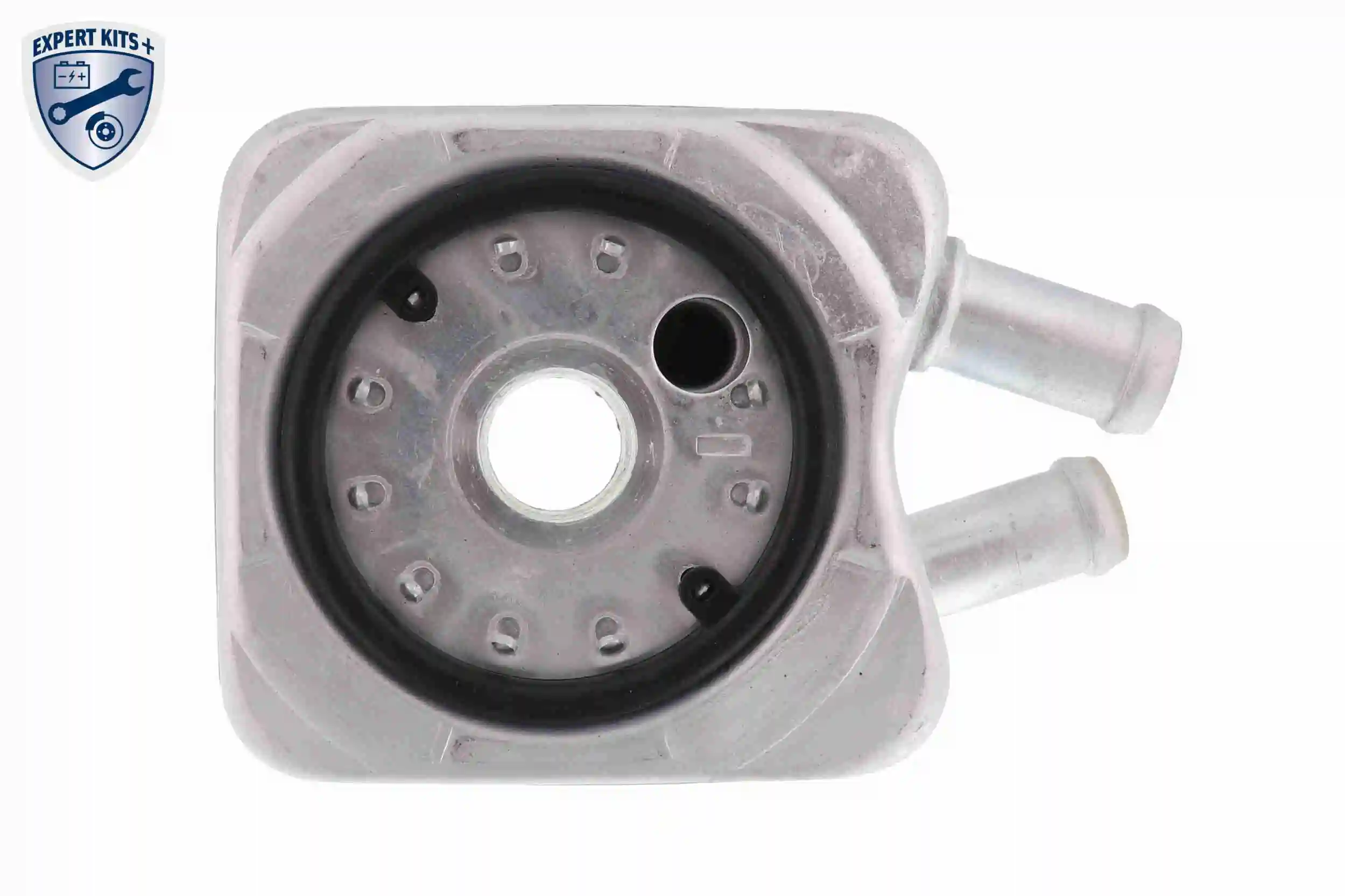 Oil Cooler, engine oil EXPERT KITS + V15-60-6010