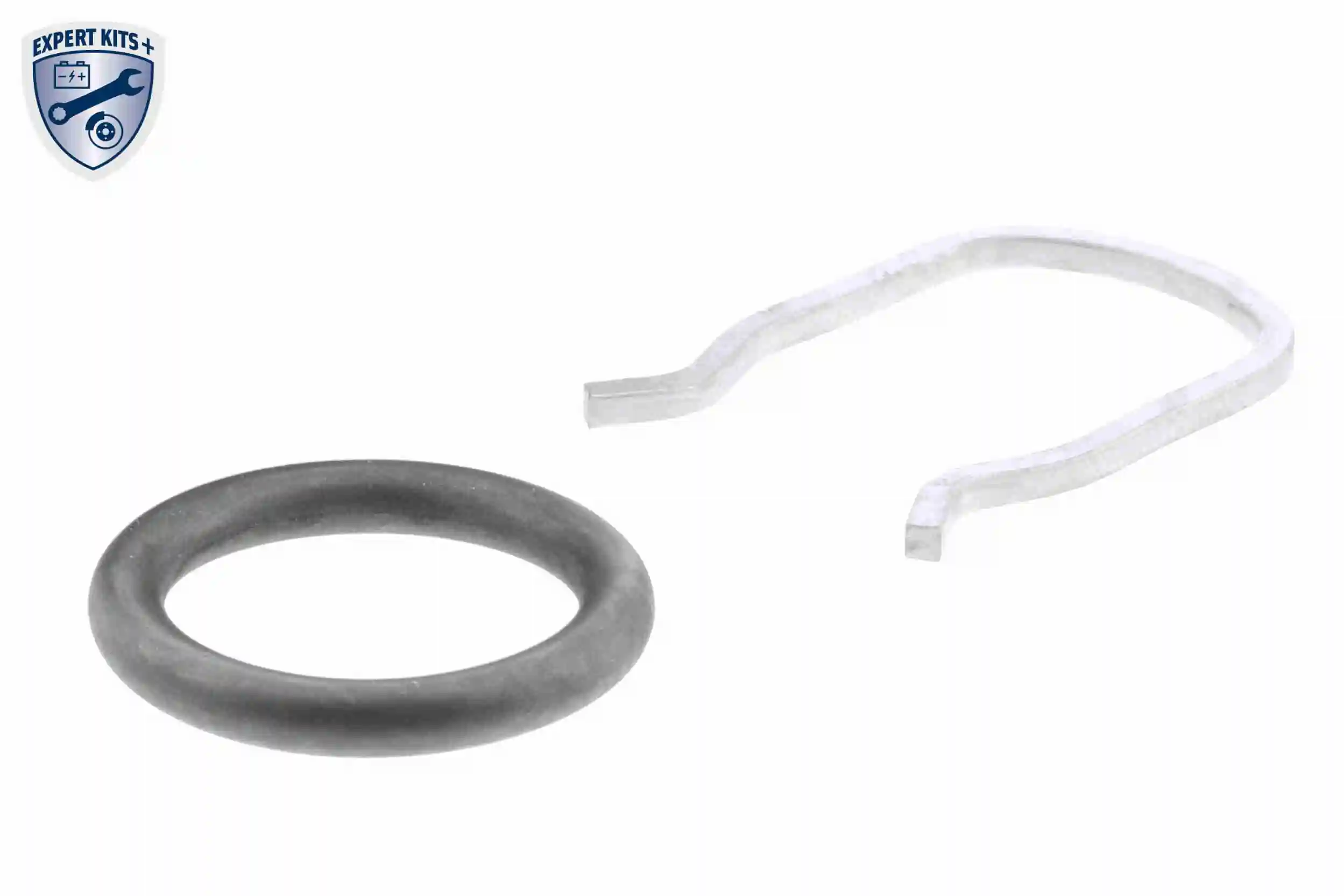 Sensor, fuel temperature EXPERT KITS + V10-72-1251