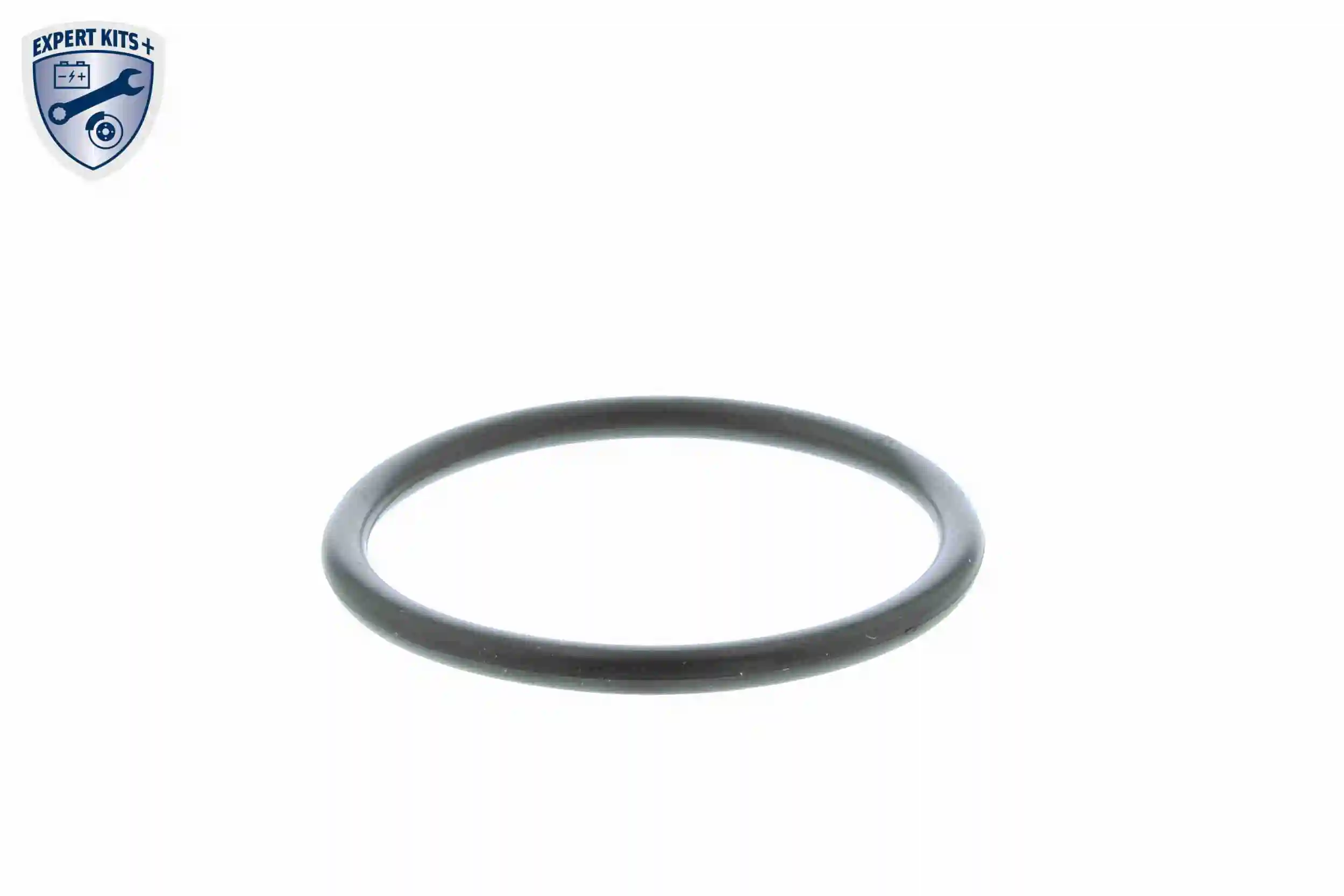 Thermostat, coolant EXPERT KITS + V15-99-2002-1