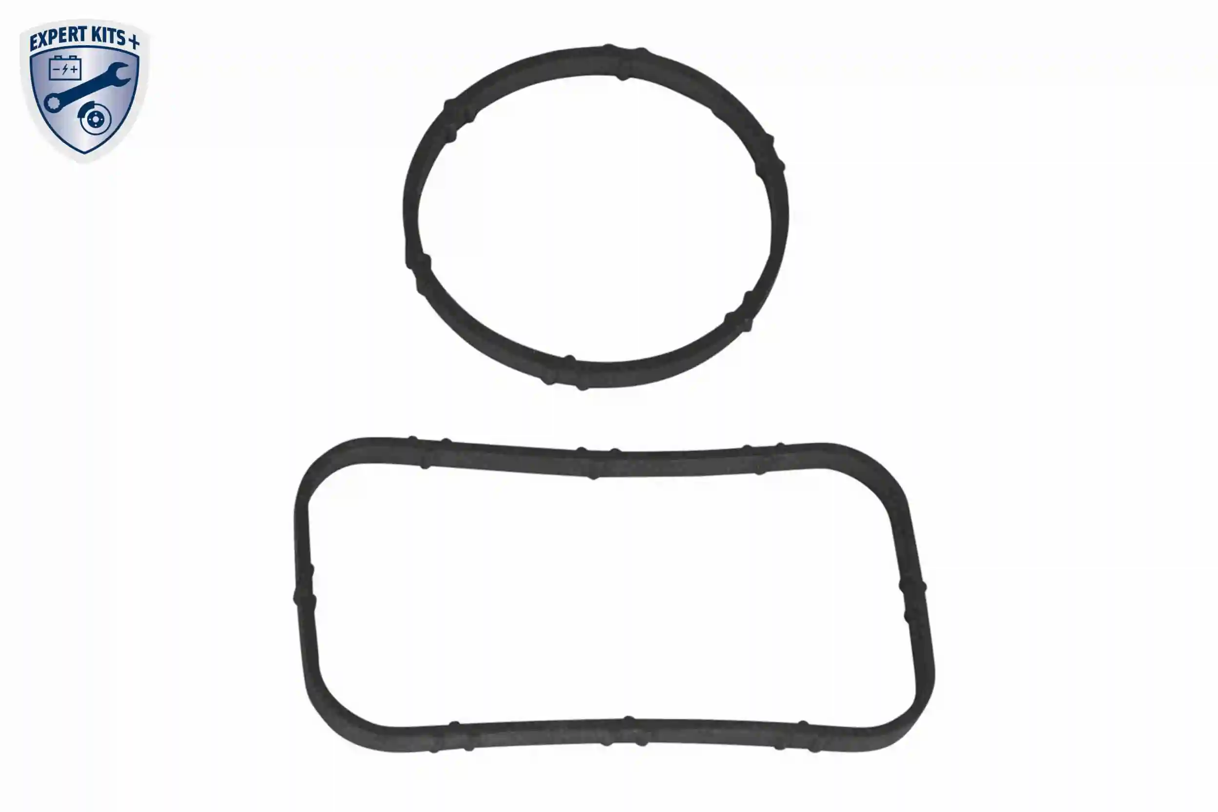 Charge Air Cooler EXPERT KITS + V10-60-0082