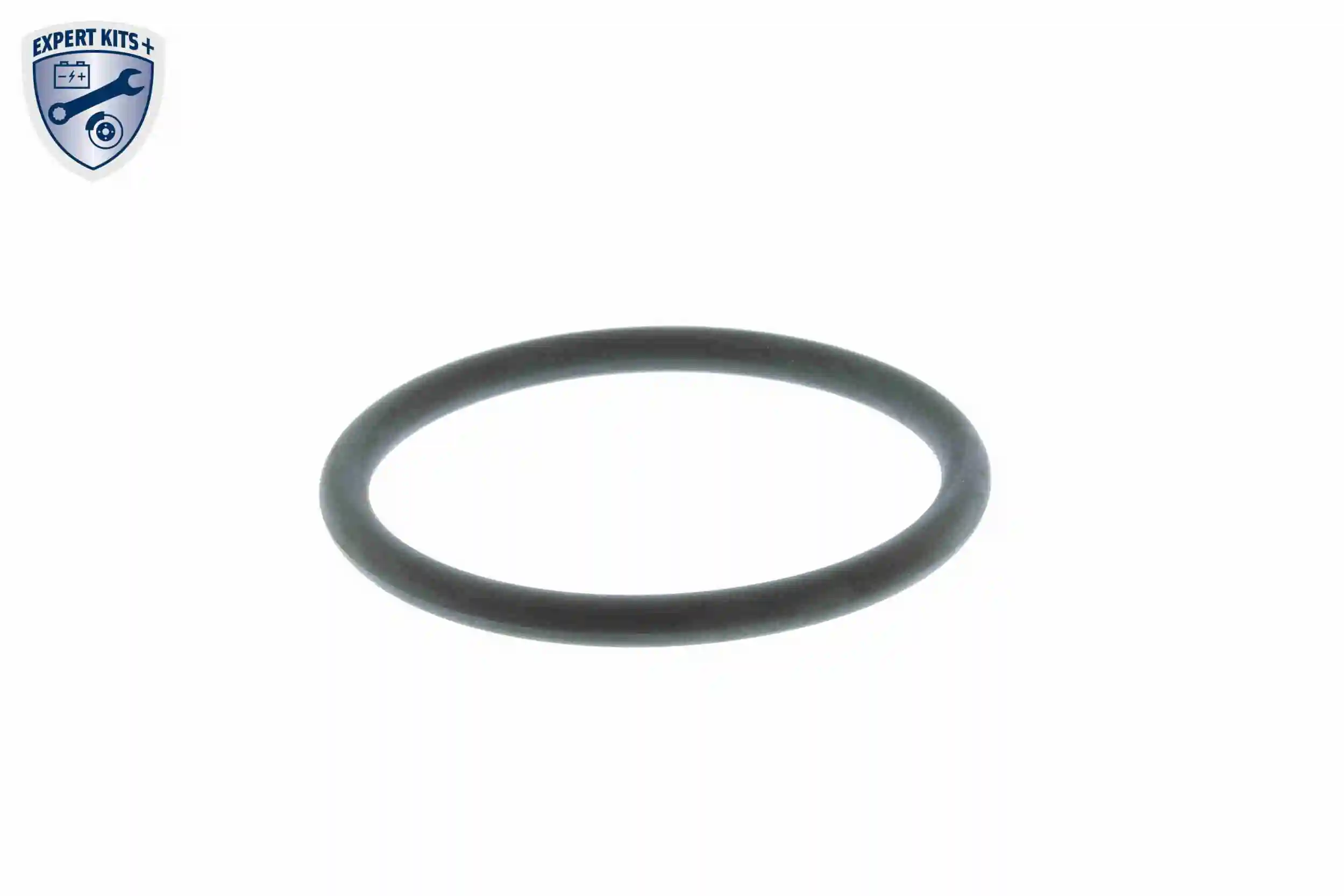 Thermostat, coolant EXPERT KITS + V15-99-2061