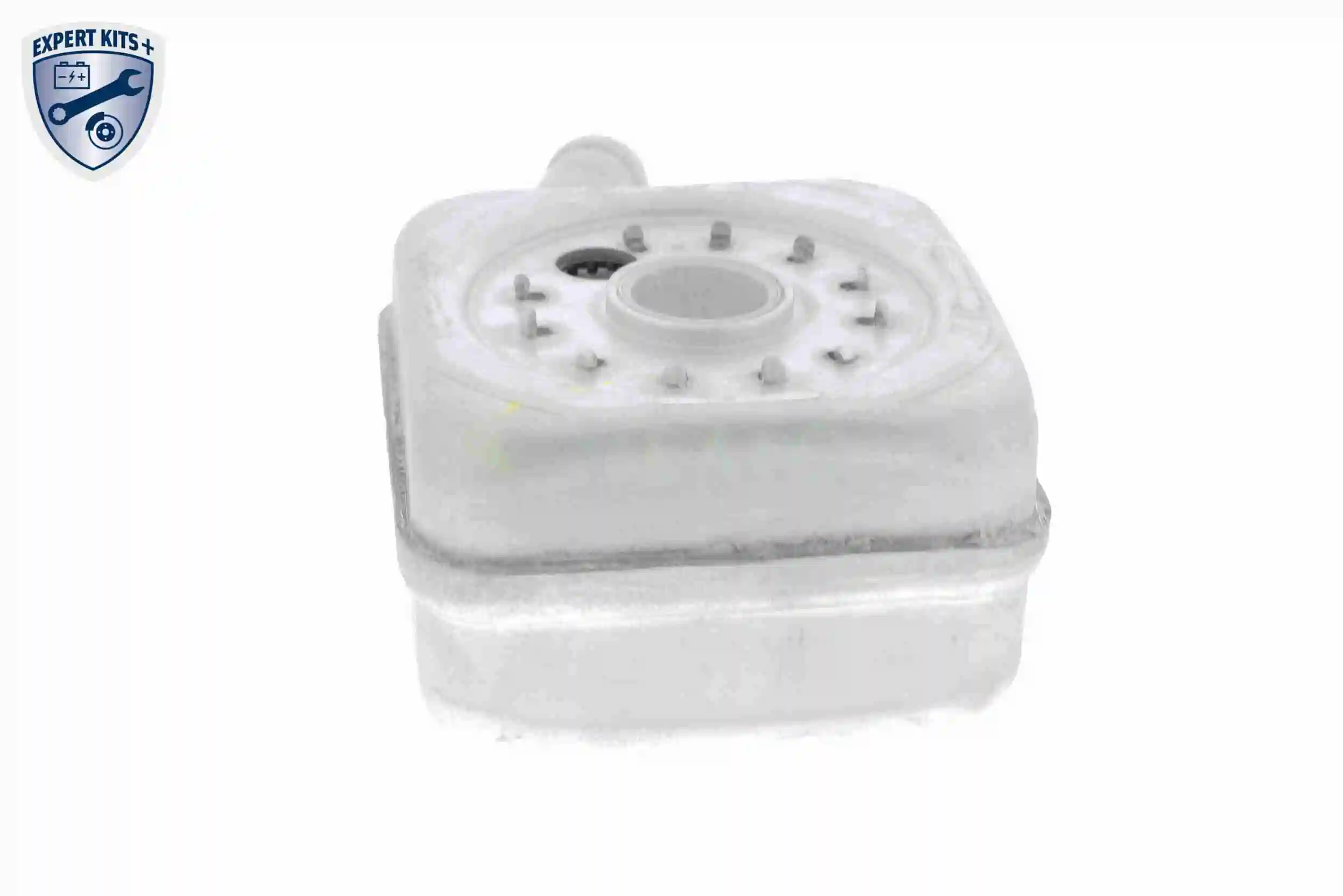 Oil Cooler, engine oil EXPERT KITS + V15-60-6011