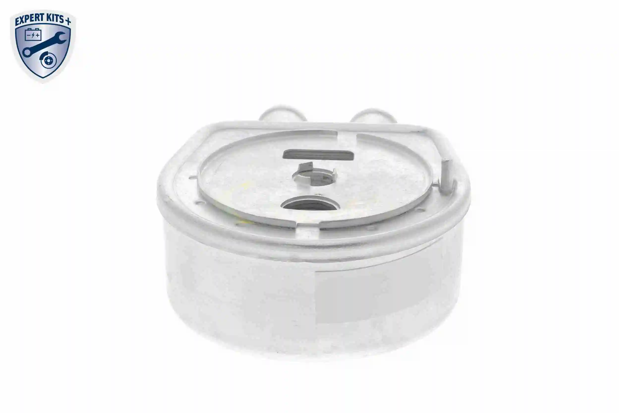 Oil Cooler, engine oil EXPERT KITS + V25-60-0047