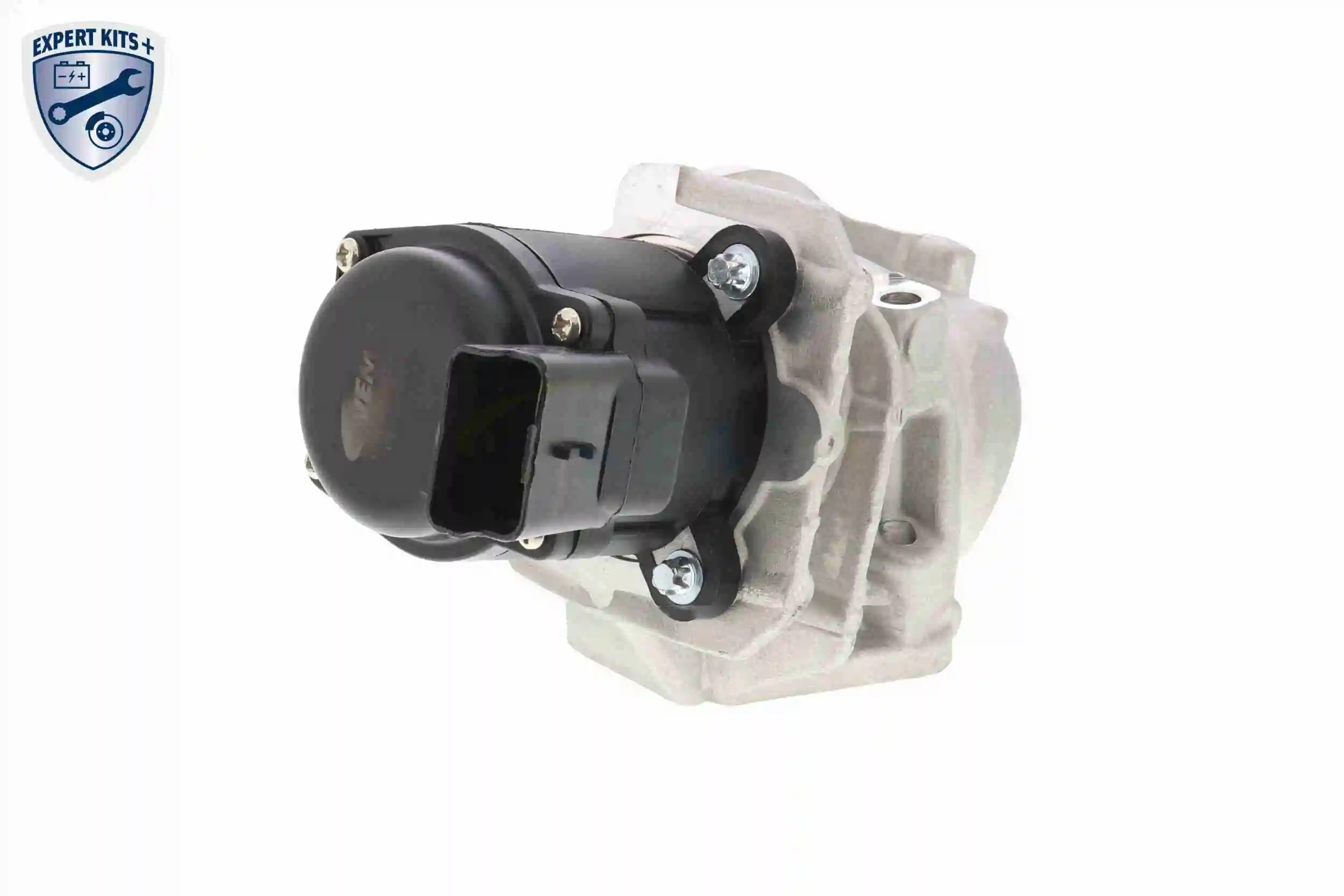 EGR Valve EXPERT KITS + V42-63-0002