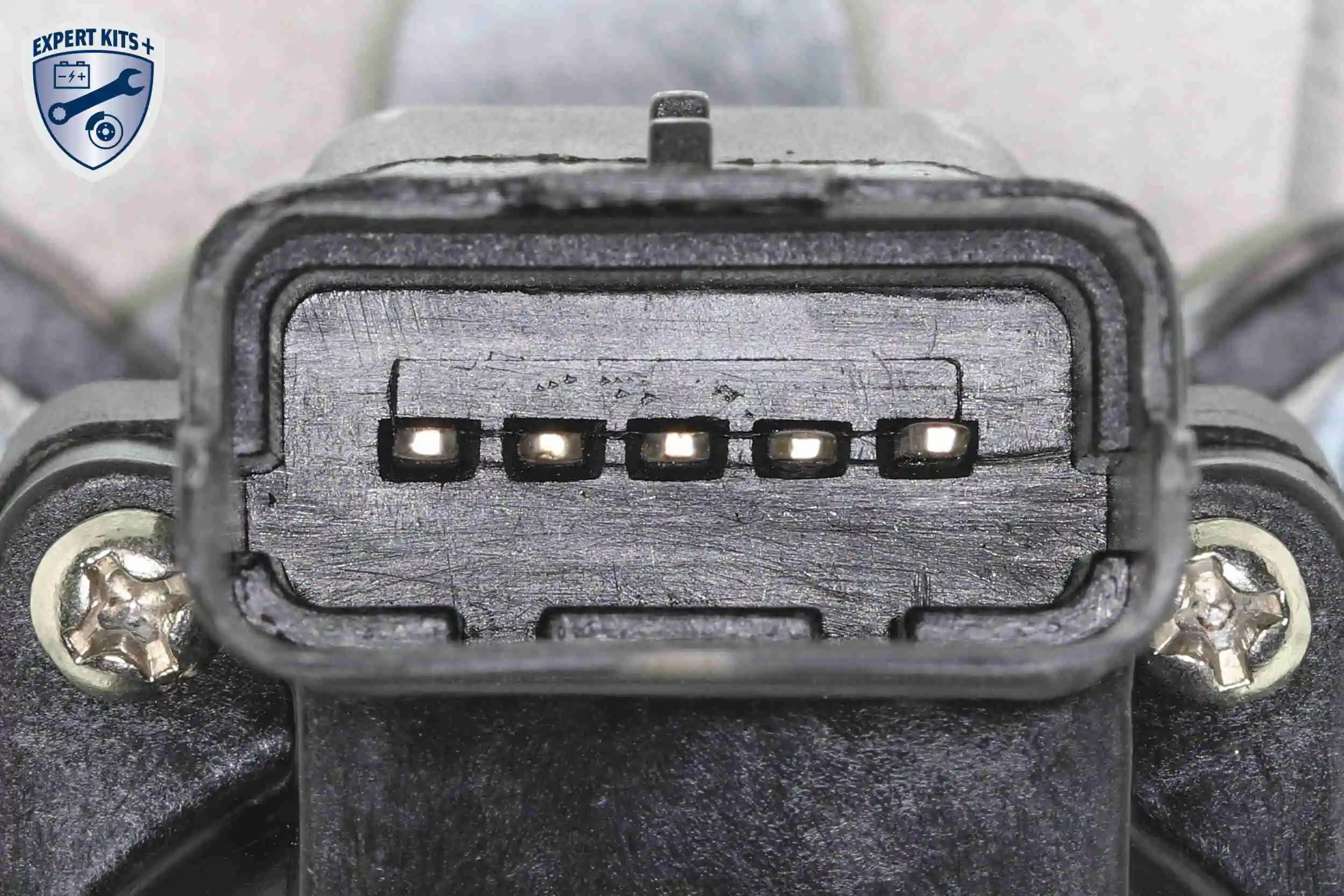 EGR Valve EXPERT KITS + V42-63-0002