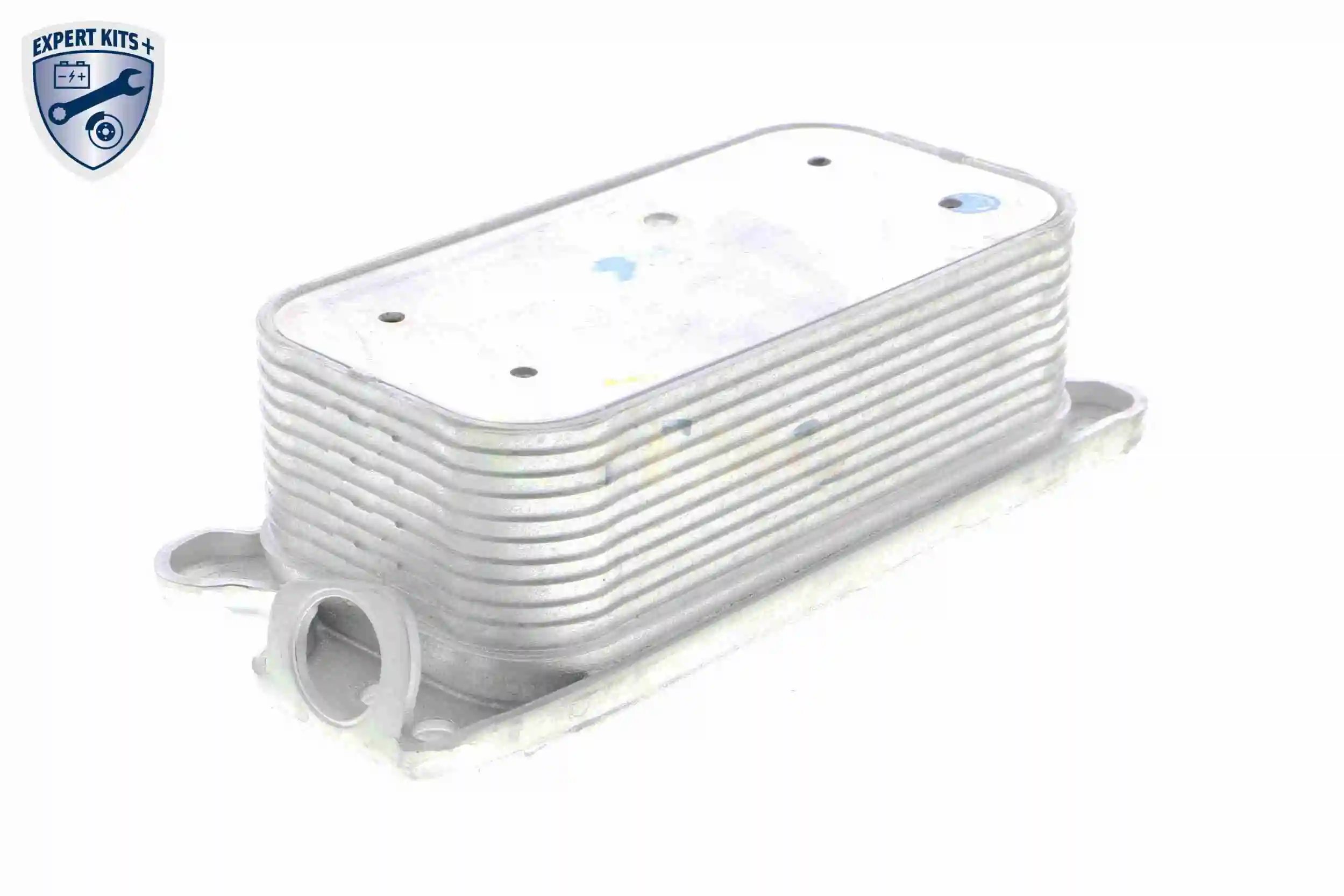 Oil Cooler, engine oil EXPERT KITS + V30-60-1321
