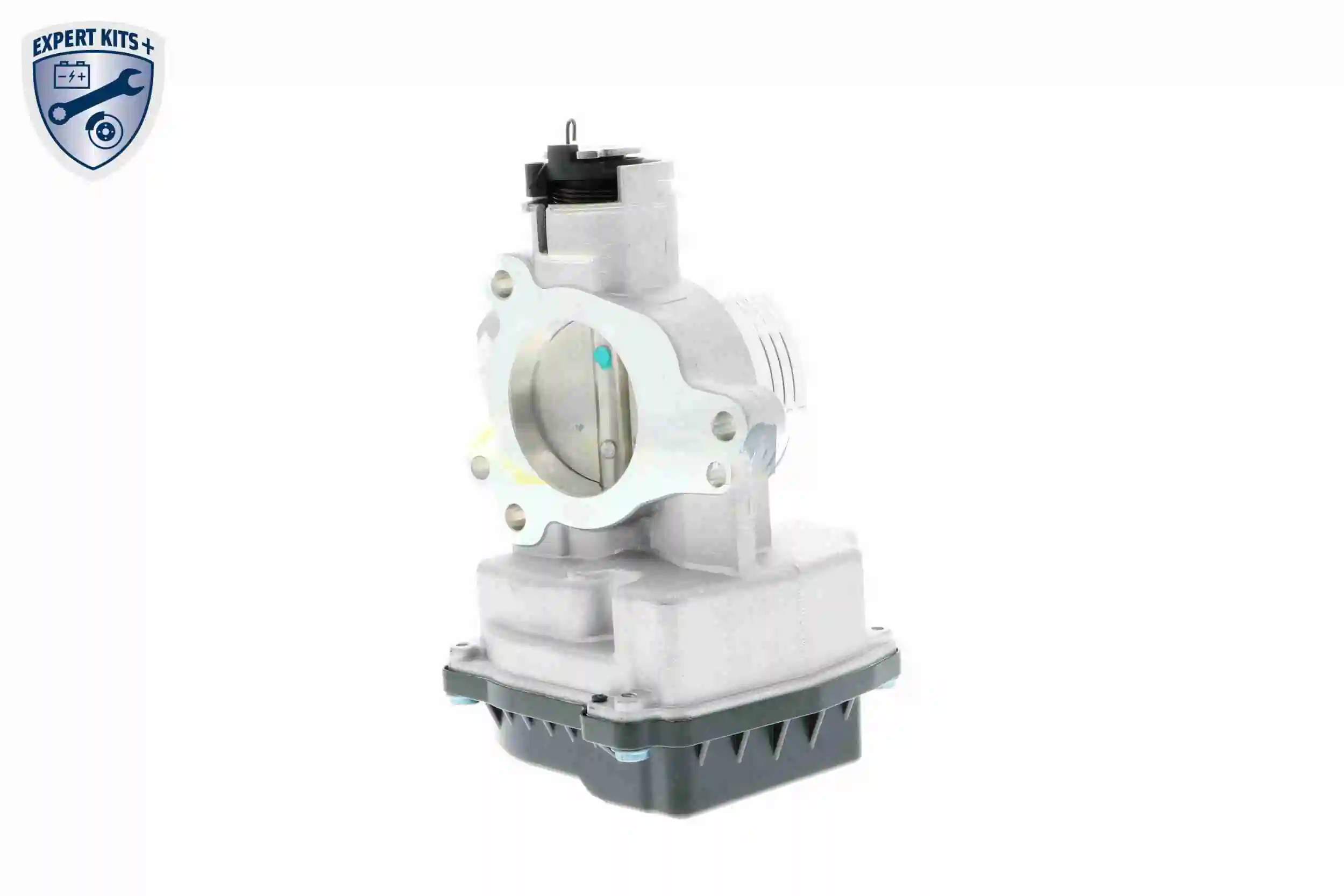 Throttle Body EXPERT KITS + V42-81-0001