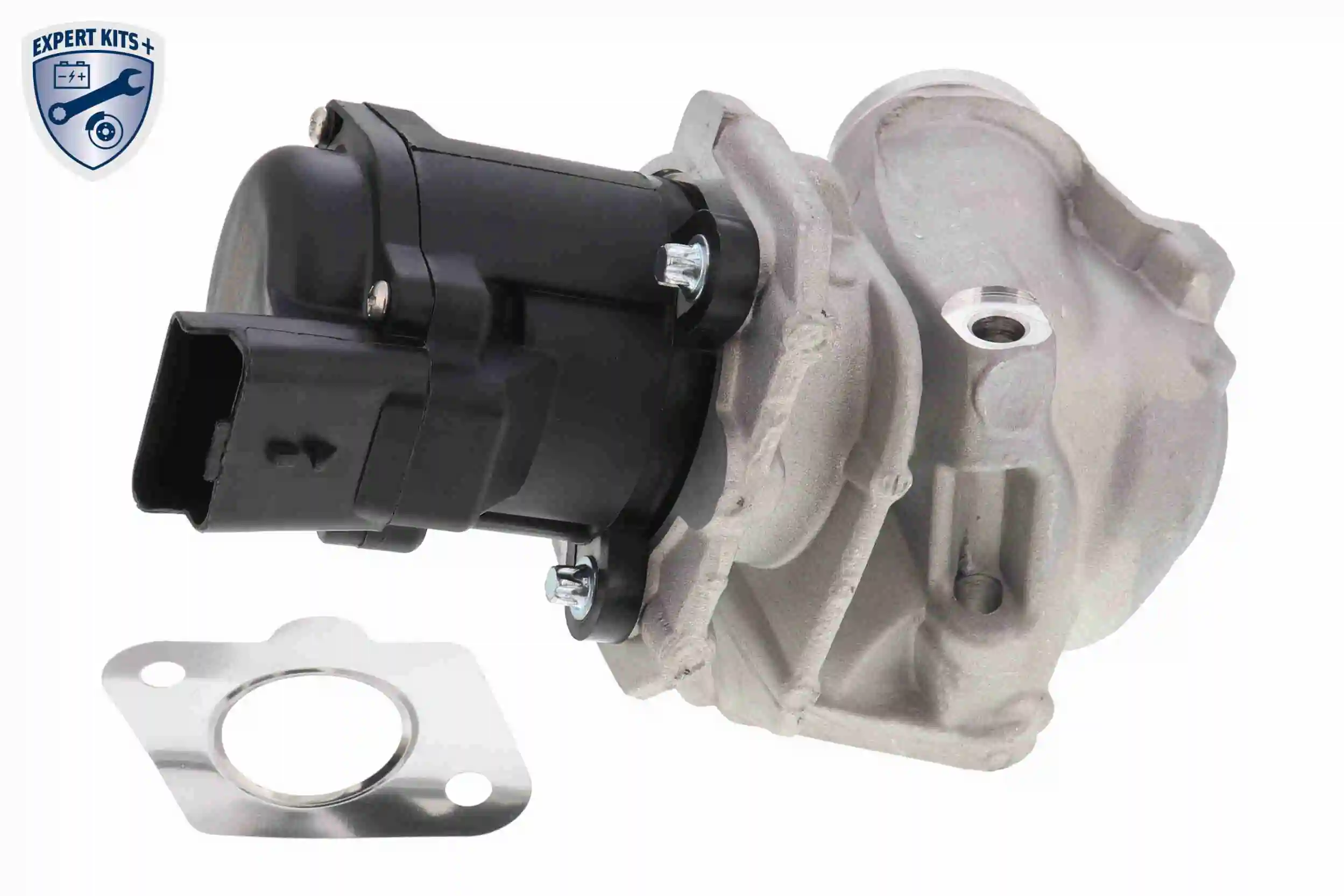 EGR Valve EXPERT KITS + V42-63-0002
