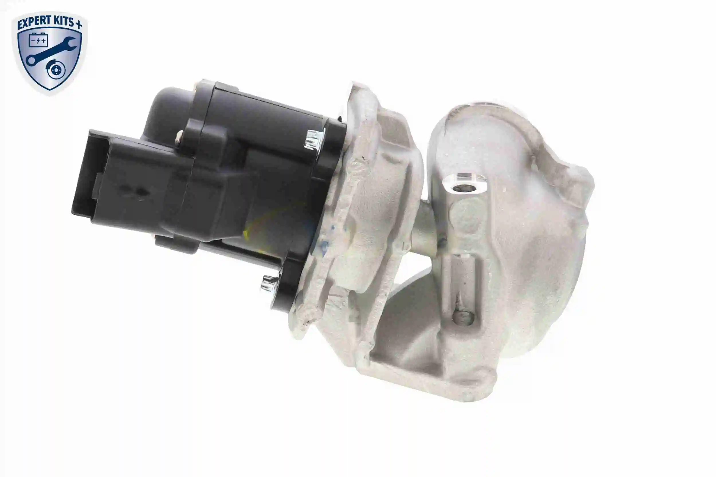 EGR Valve EXPERT KITS + V42-63-0002