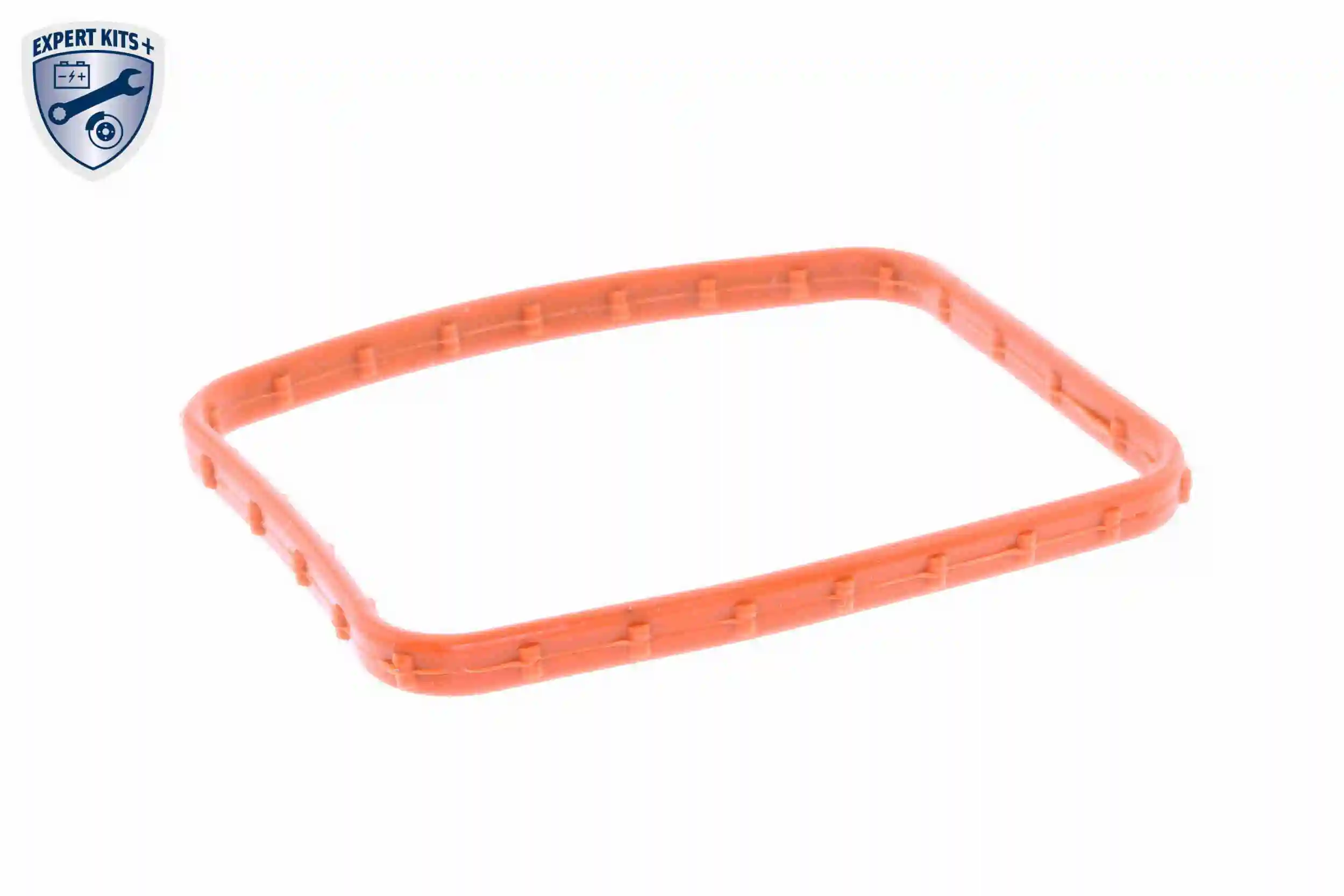 Thermostat, coolant EXPERT KITS + V25-99-1712