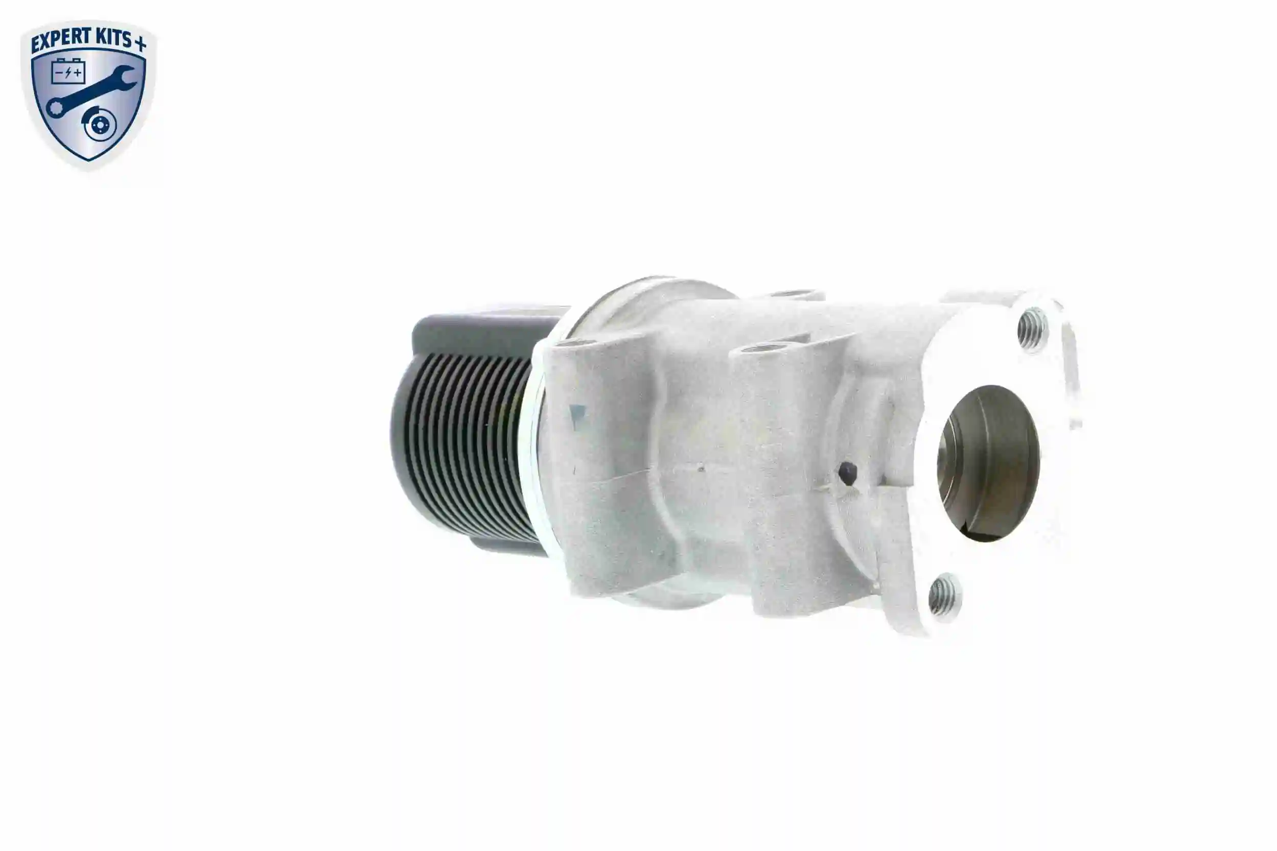 EGR Valve EXPERT KITS + V40-63-0015