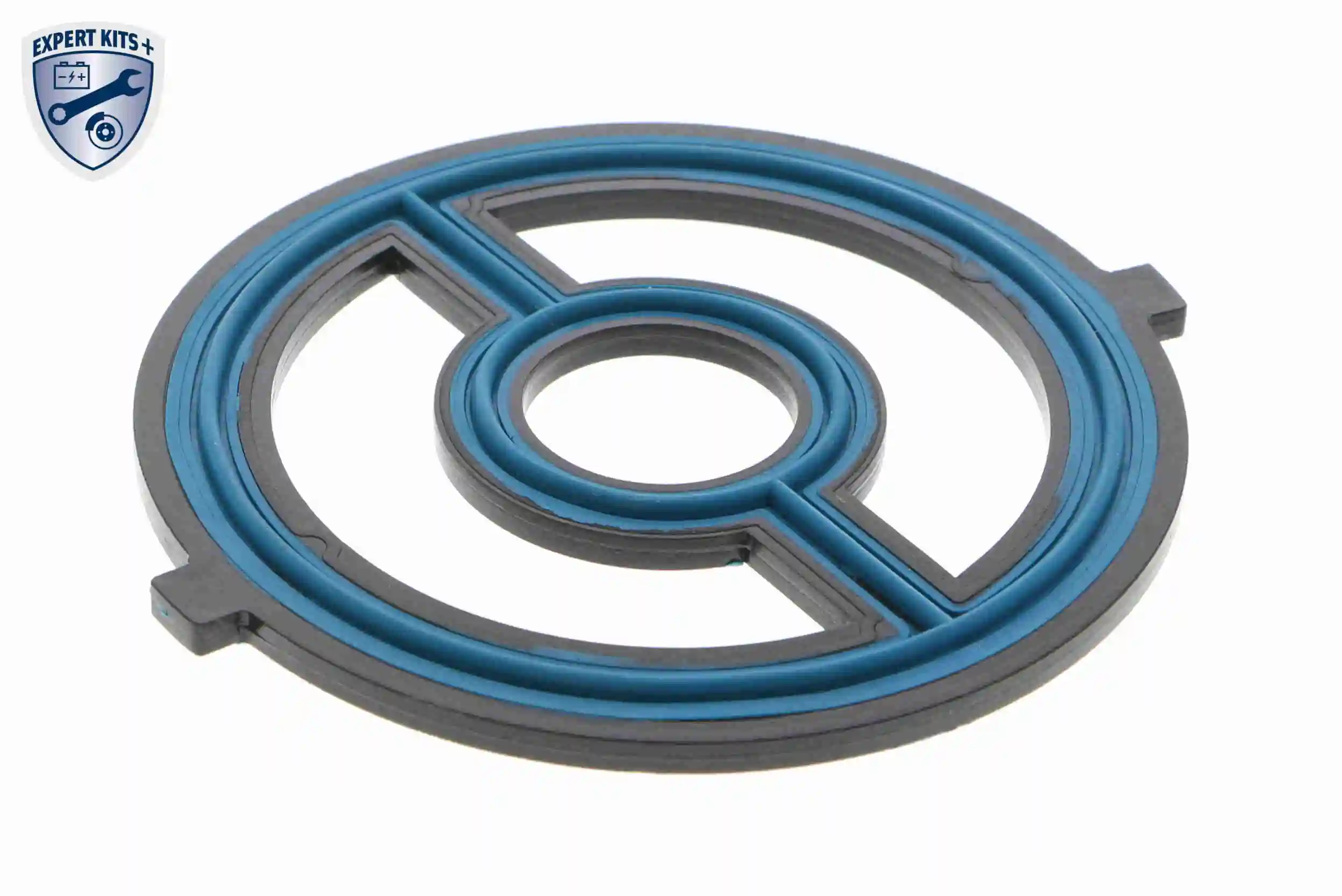 Oil Cooler, engine oil EXPERT KITS + V25-60-0047