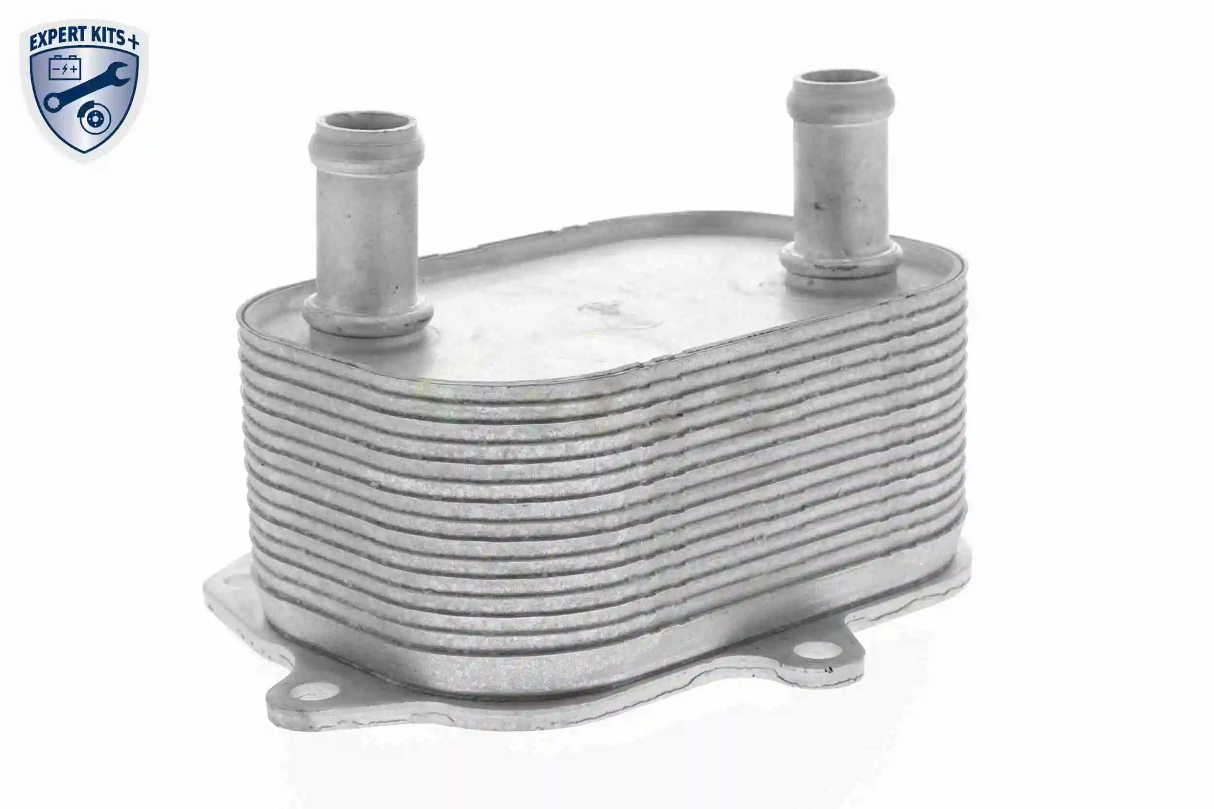 Oil Cooler, engine oil EXPERT KITS + V15-60-6091