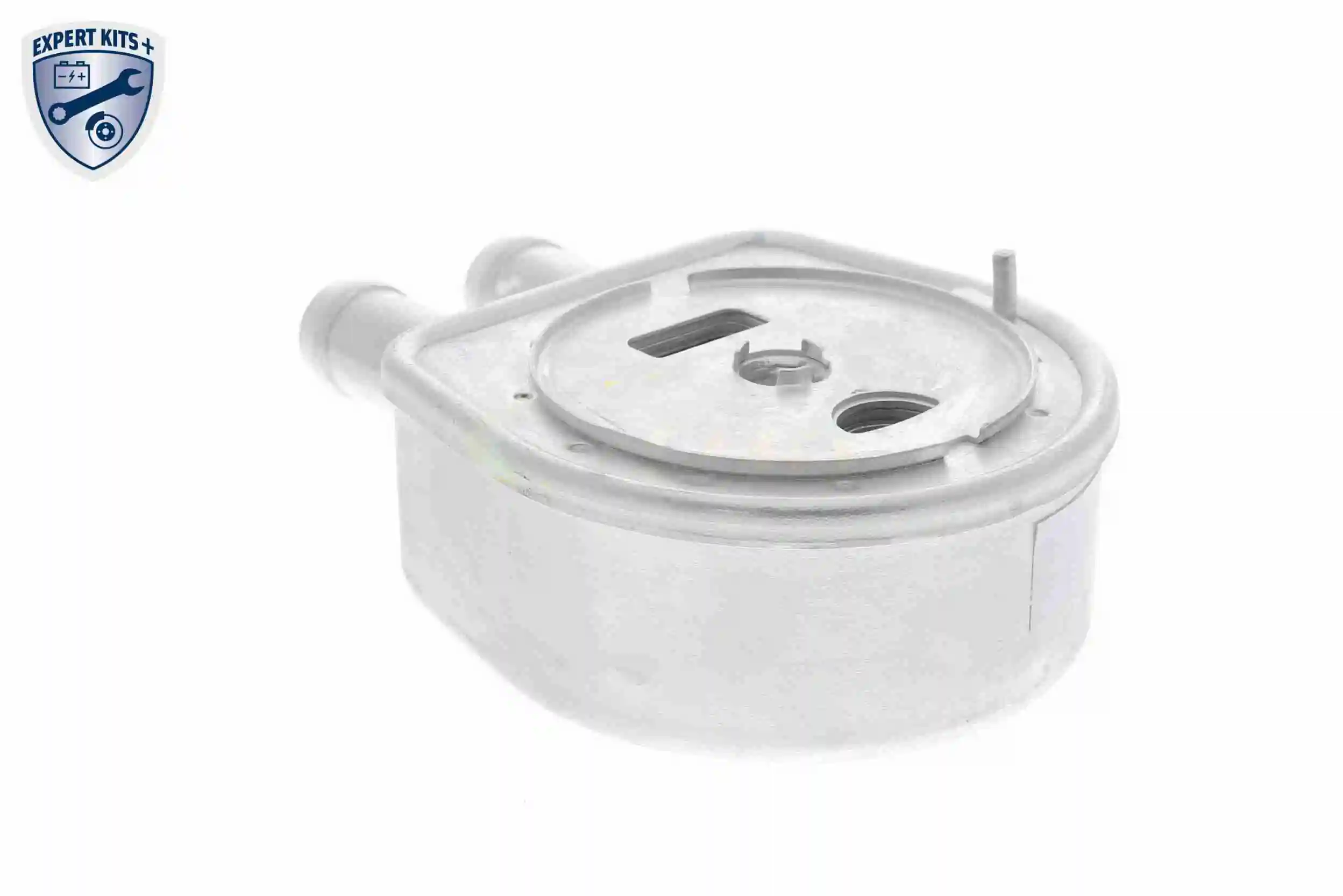 Oil Cooler, engine oil EXPERT KITS + V25-60-0047