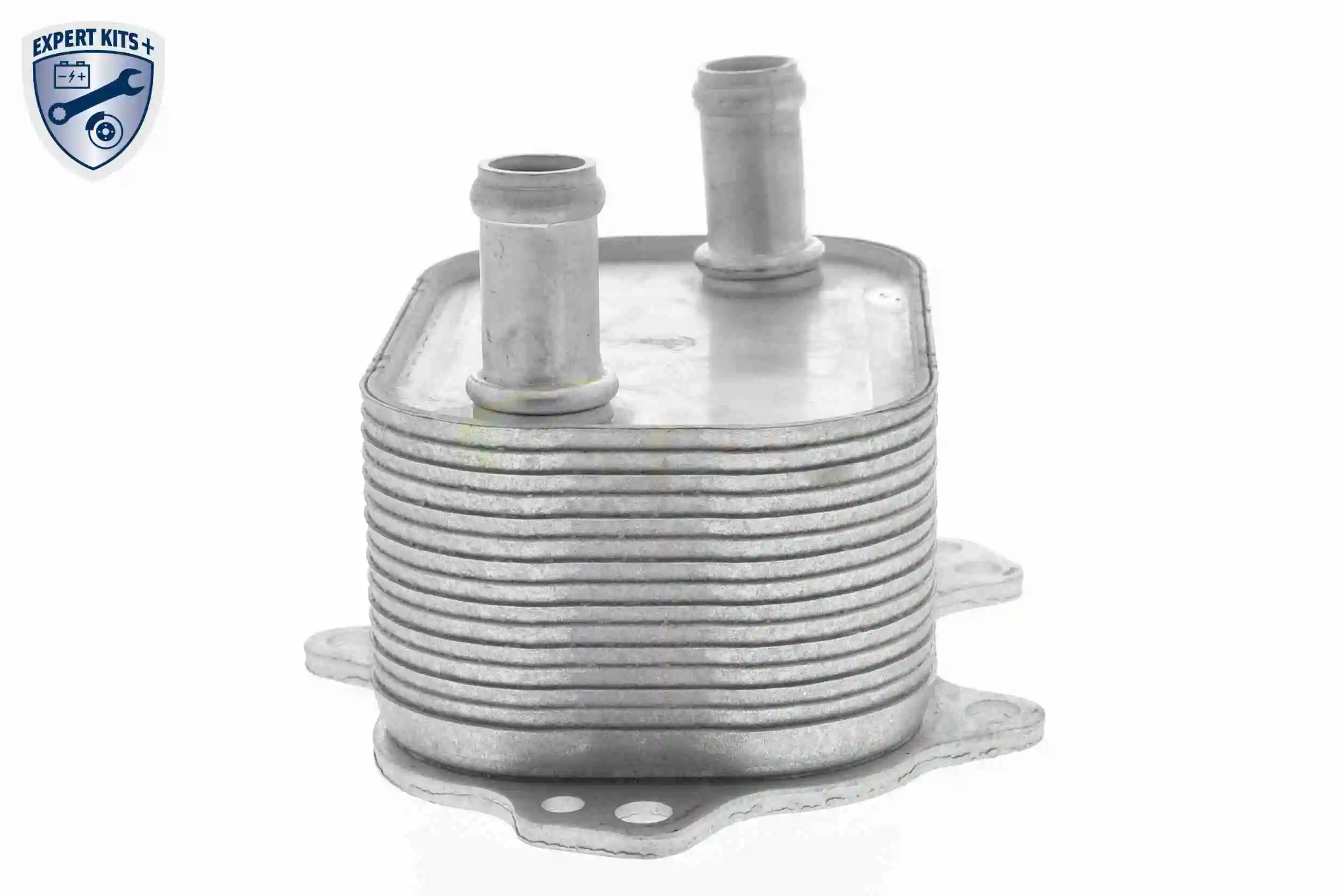 Oil Cooler, engine oil EXPERT KITS + V15-60-6091