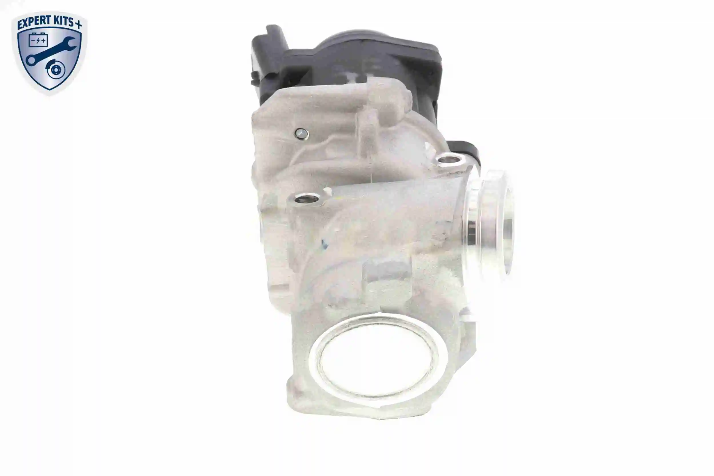 EGR Valve EXPERT KITS + V42-63-0002