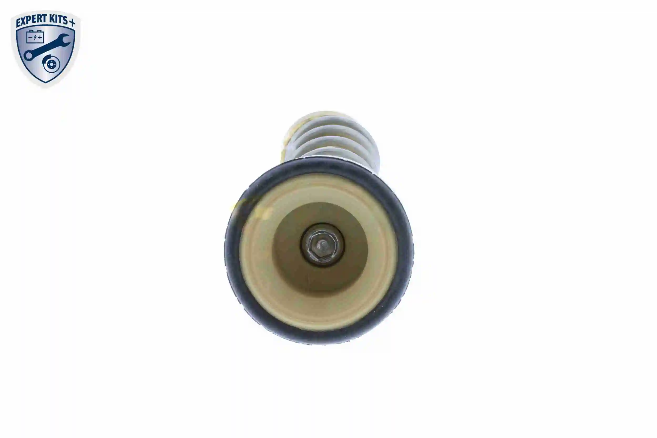 Thermostat, coolant EXPERT KITS + V15-99-2061