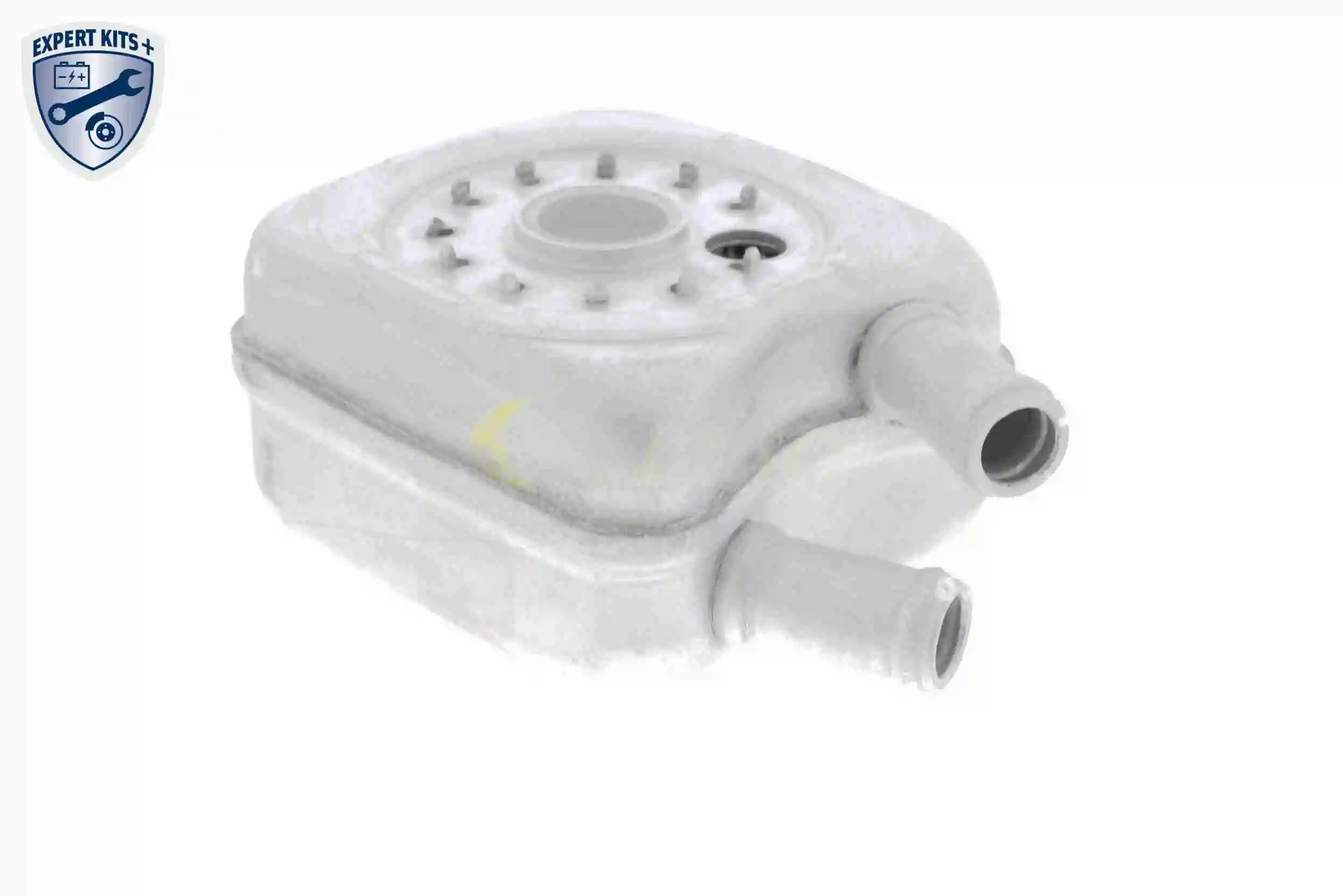 Oil Cooler, engine oil EXPERT KITS + V15-60-6011