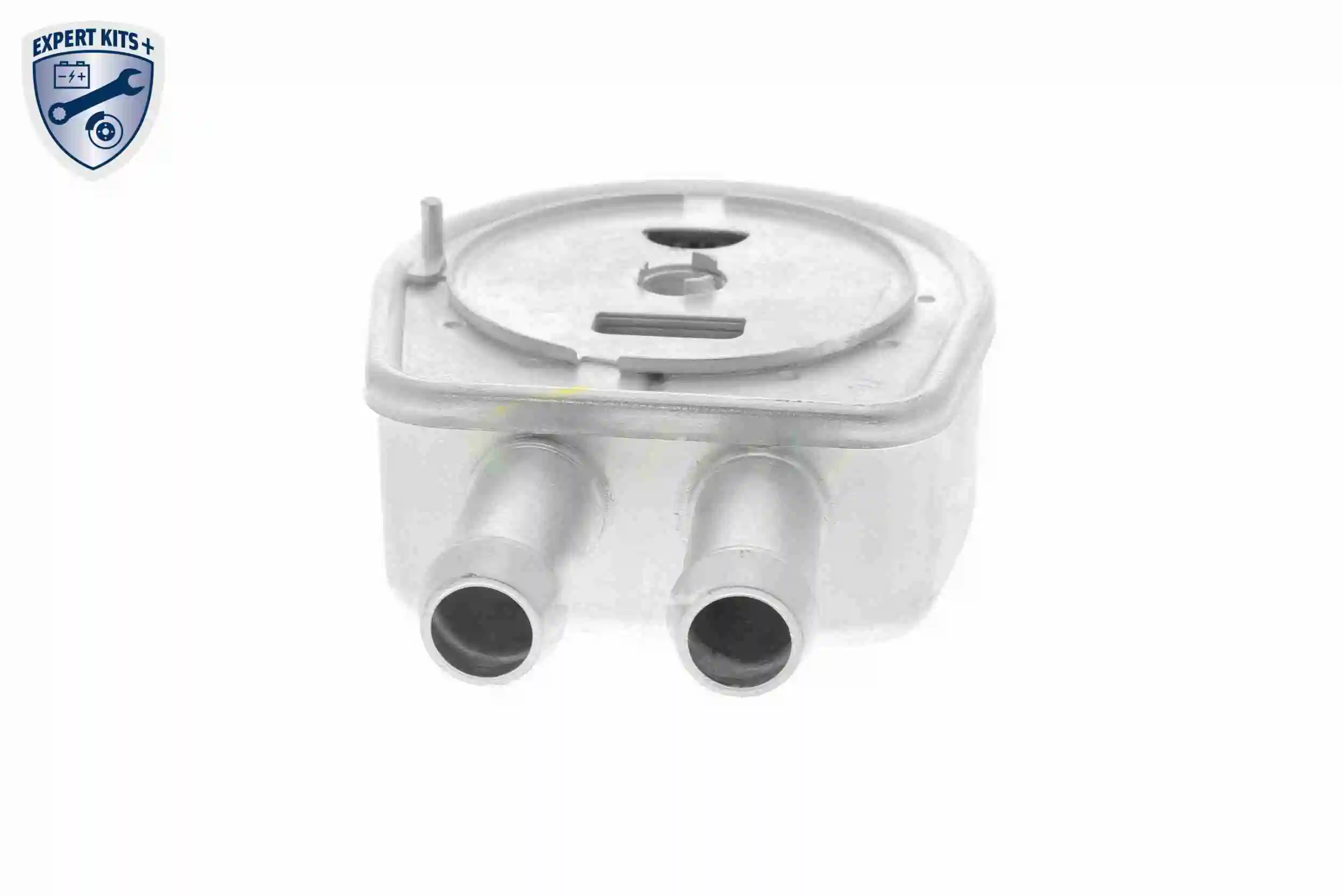 Oil Cooler, engine oil EXPERT KITS + V25-60-0047