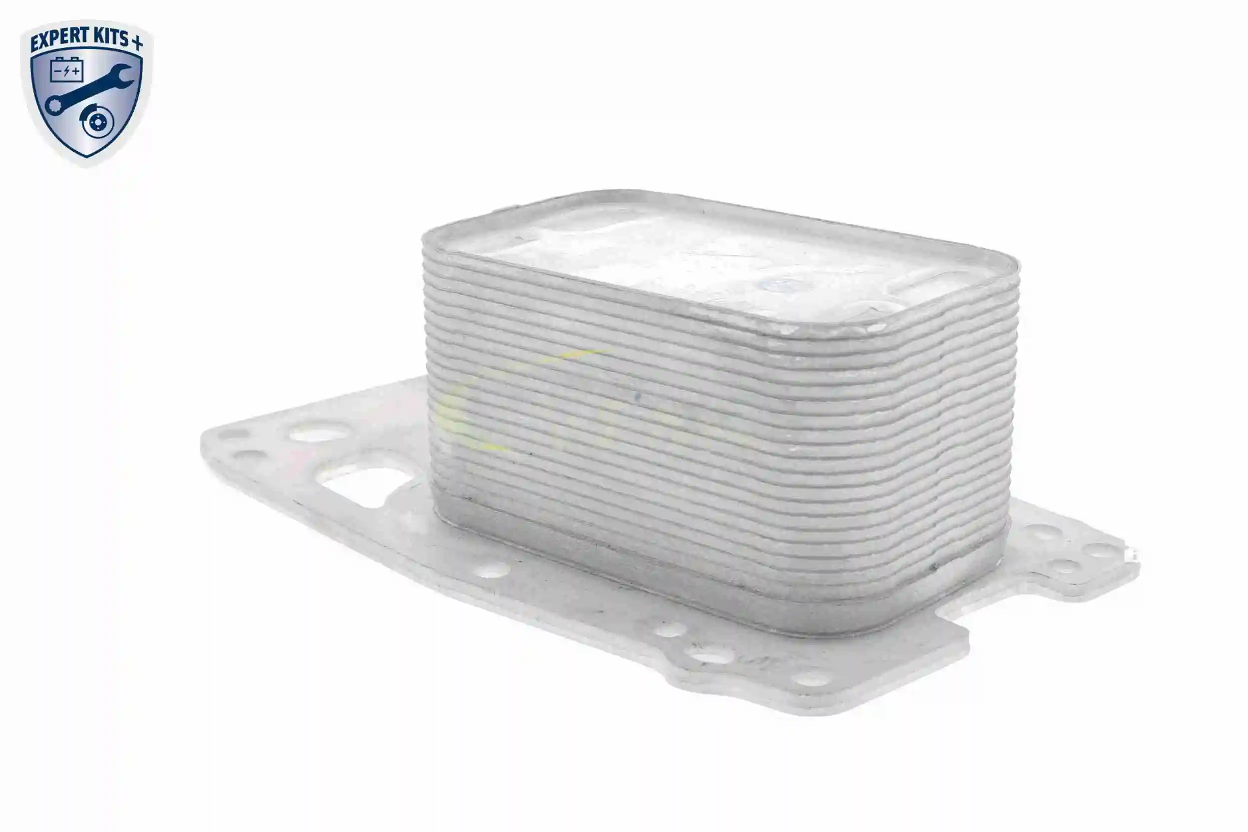 Oil Cooler, engine oil EXPERT KITS + V20-60-0076