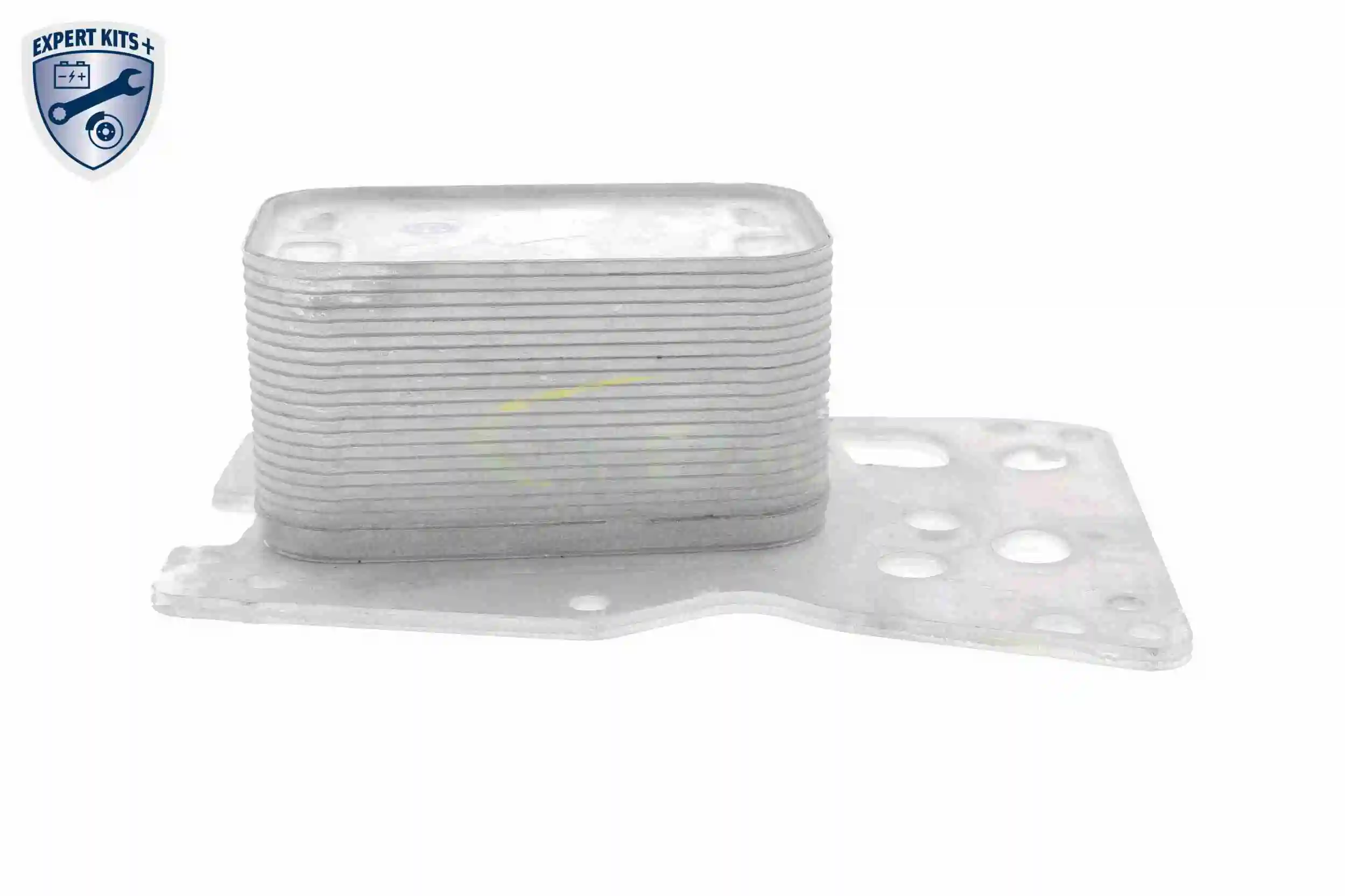 Oil Cooler, engine oil EXPERT KITS + V20-60-0076