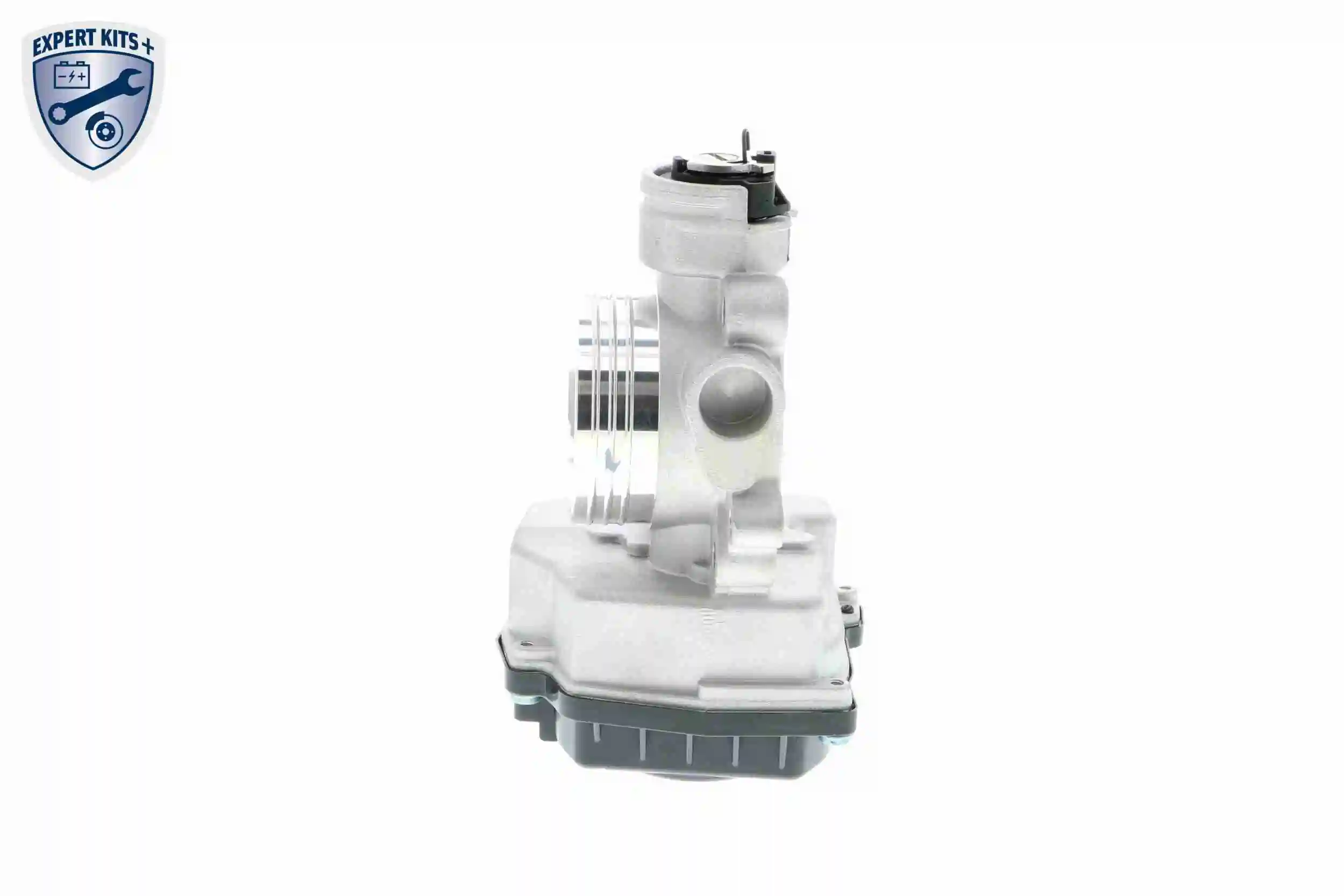 Throttle Body EXPERT KITS + V42-81-0001